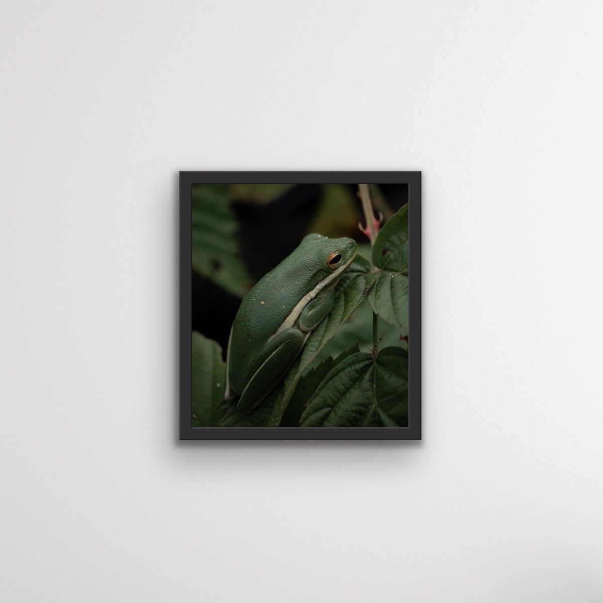 https://i.etsystatic.com/47118236/r/il/7ad686/6048480768/il_fullxfull.6048480768_smho.jpg