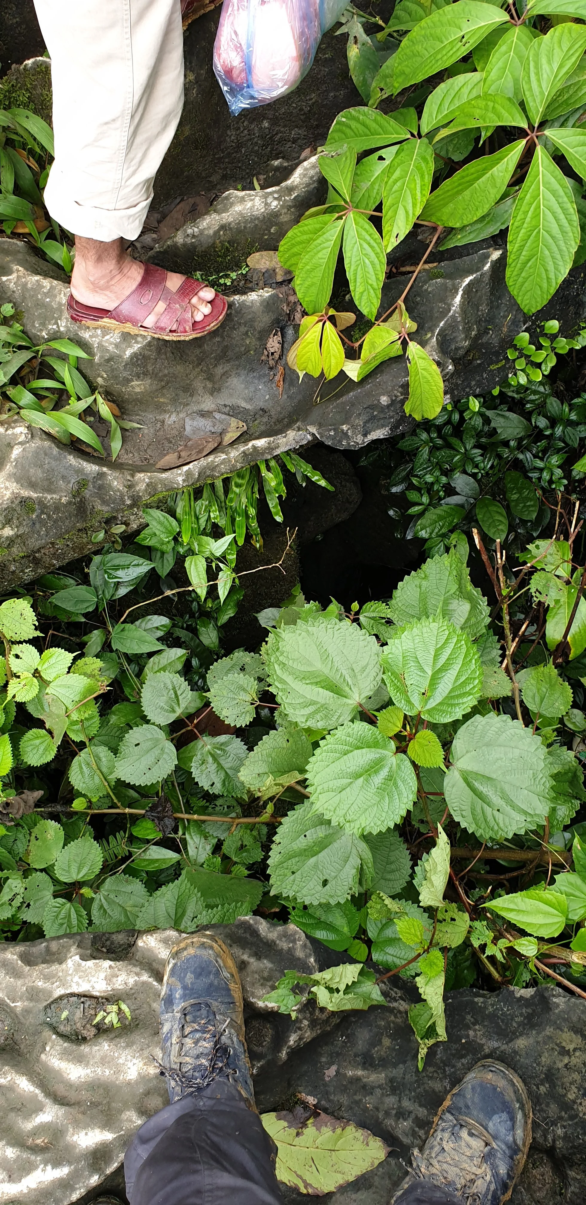 20190406_103301.jpg