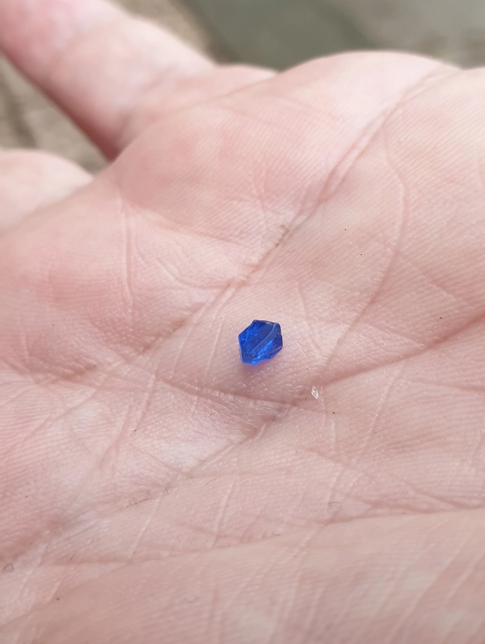 20190405_105458.jpg