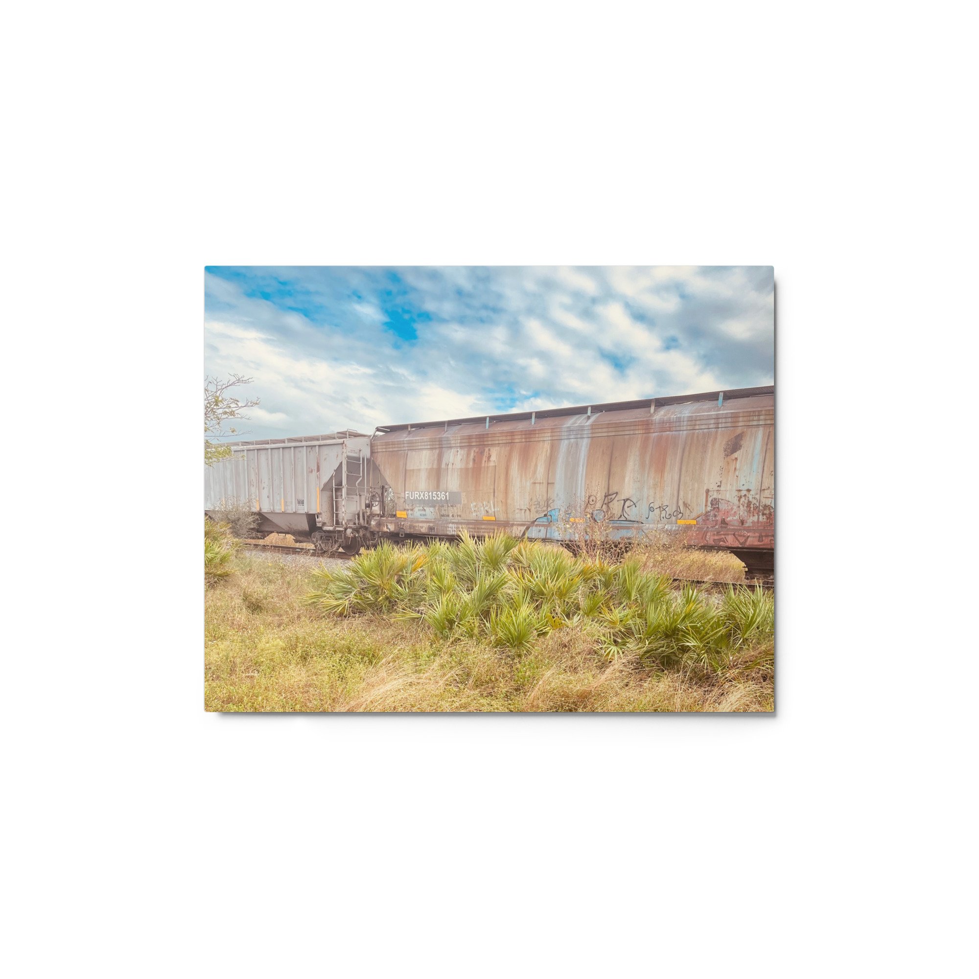 glossy-metal-print-(in)-white-11x14-front-672d761e1368d.jpg