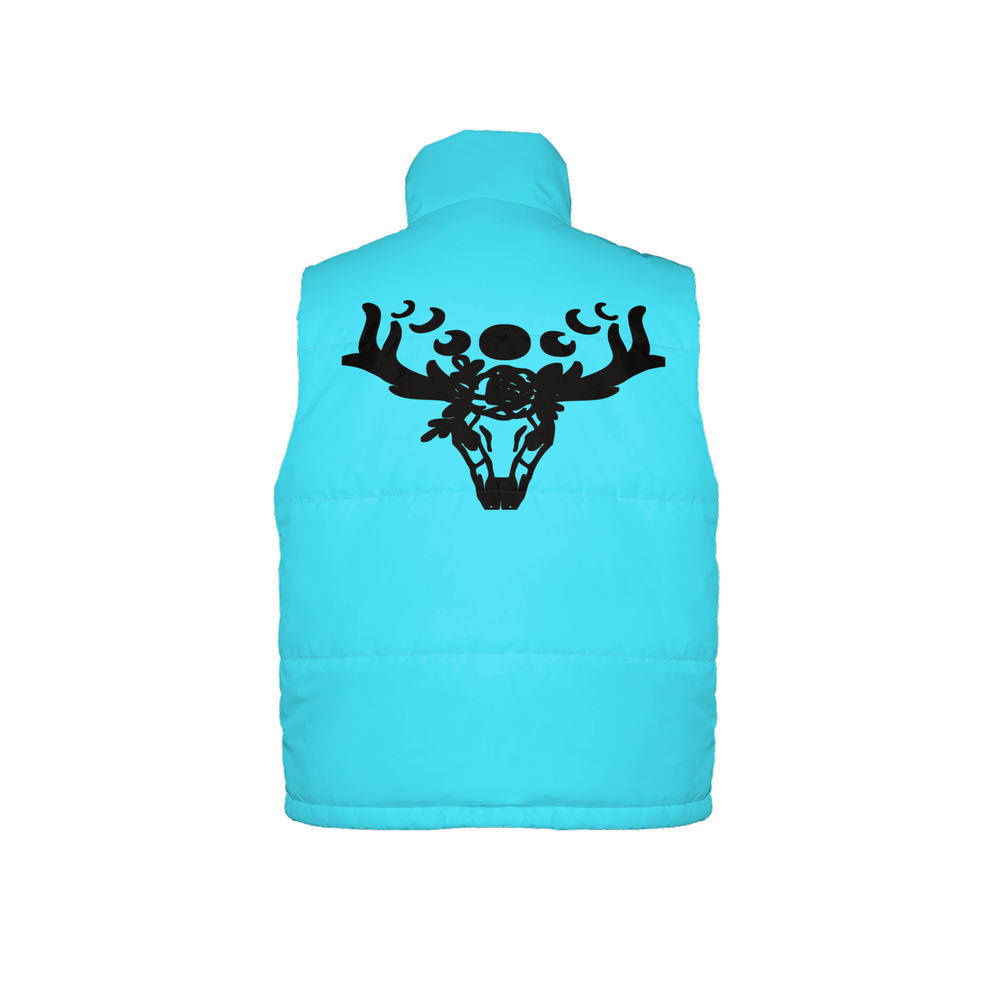 Full-Zip Sleeveless Puffer Vest-Lightweight Ecodear