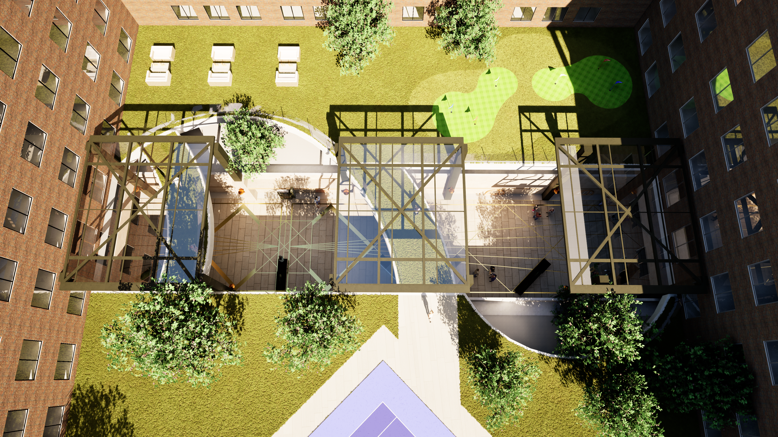 Image11.png