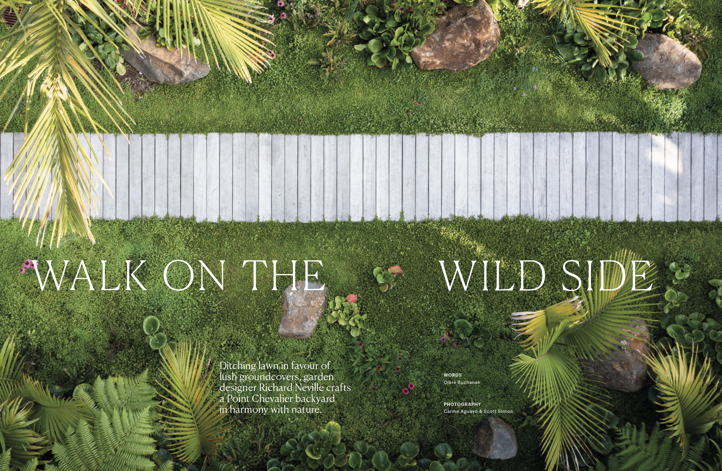 clare-buchanan-homestyle-editorial-neville-design-03.png