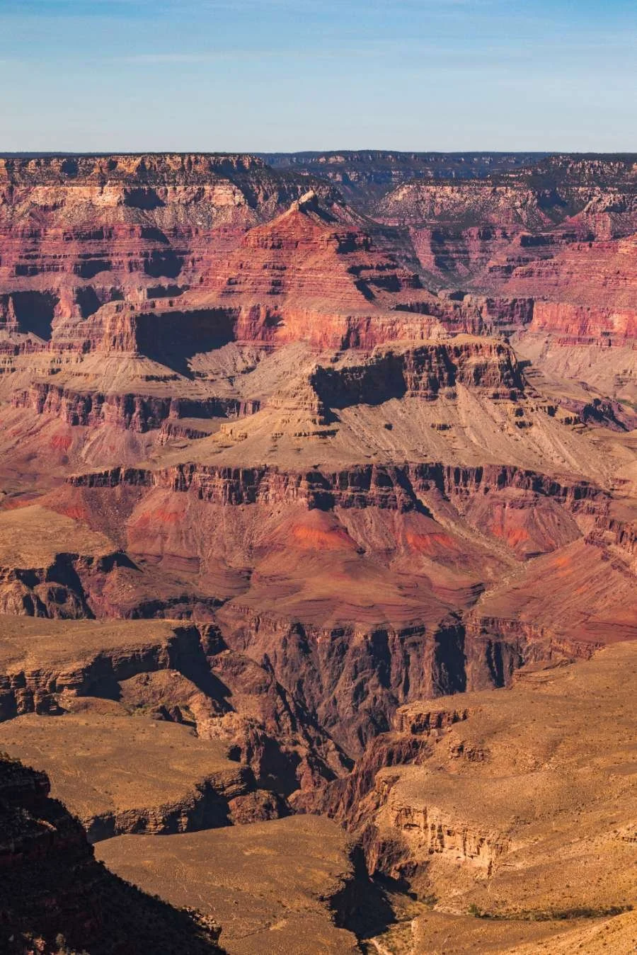A vast view of the Grand Canyon with layered red and brown rocks under a clear blue sky.