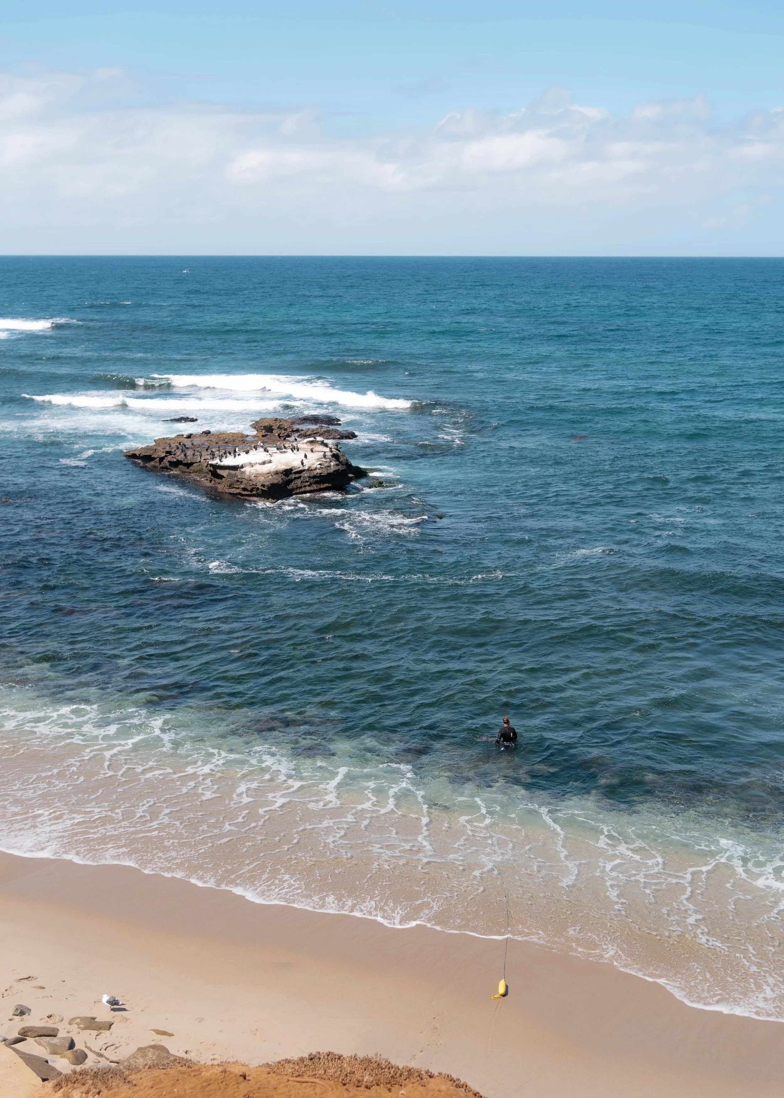 Beach scene with a person in the water near the shore, rocky outcrop, seabirds resting on rocks, and a fishing float in the sand.