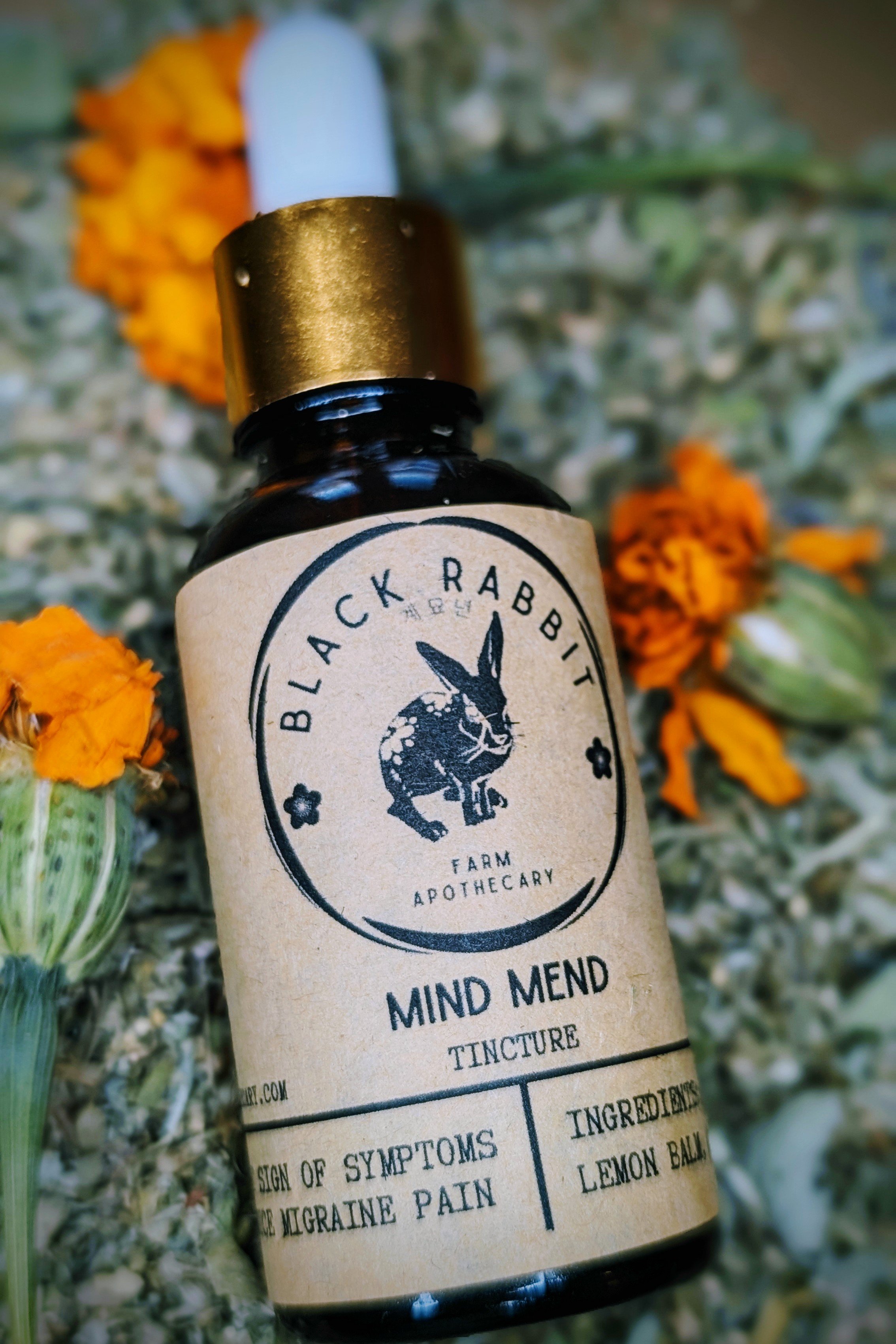 Mind Mend