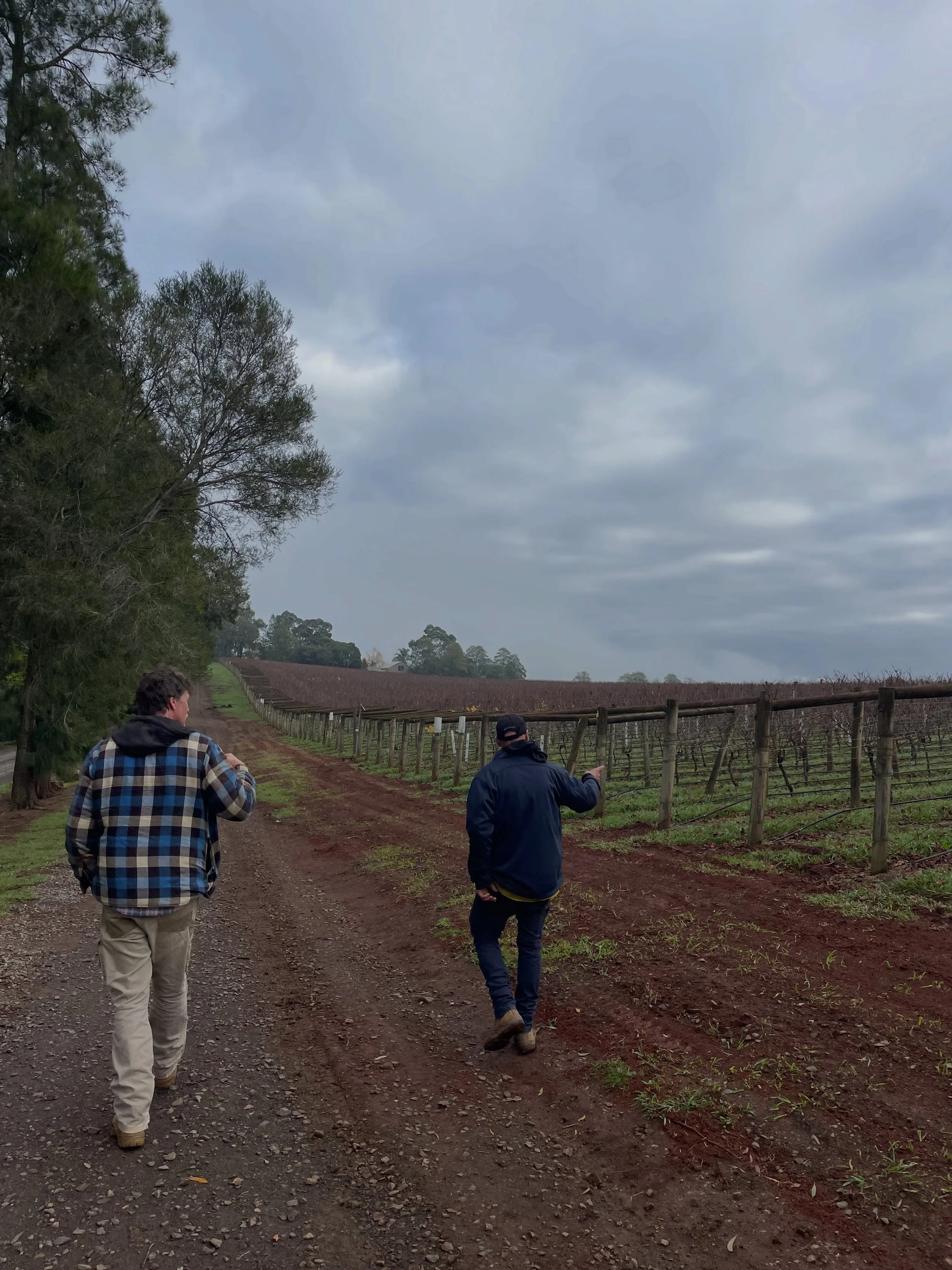 What a morning, exploring upper Yarra Valley vineyards with @handpickedwines @giantstepswine @oakridgewines @debortoliyarravalley @coldstreamhills