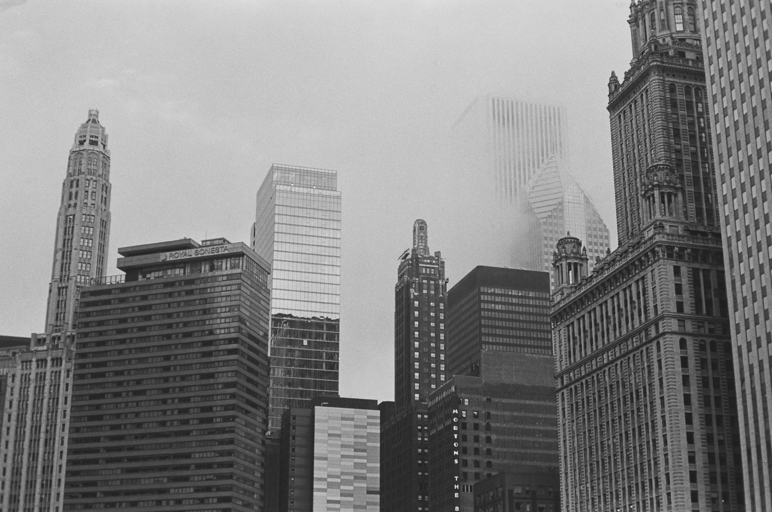 2025Film-08.jpg
