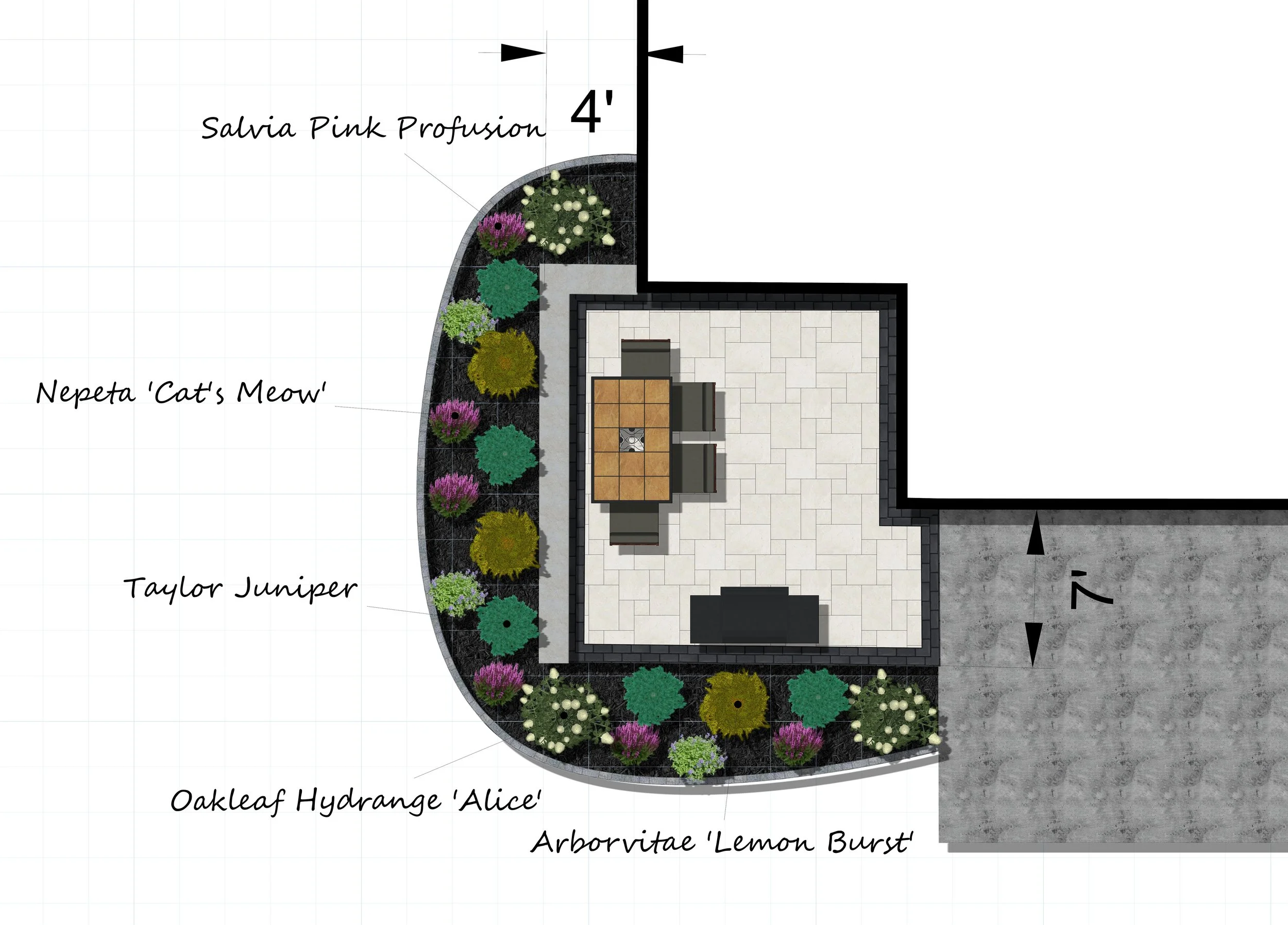 Landscape architectural plan showing a garden bed along the left side of a patio area, featuring plants such as Salvia Pink Profusion, Nepeta 'Cat's Meow', Oakleaf Hydrangea 'Alice', and Arborvitae 'Lemon Burst'.