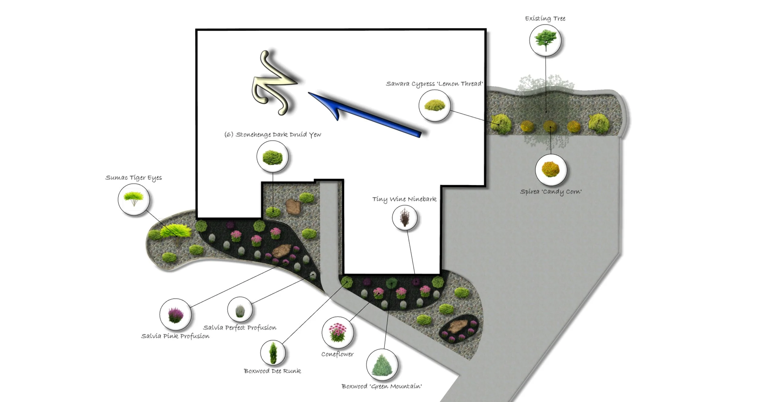 Landscape landscape design plan with various labeled plants including trees and bushes, with different sections and pathways.