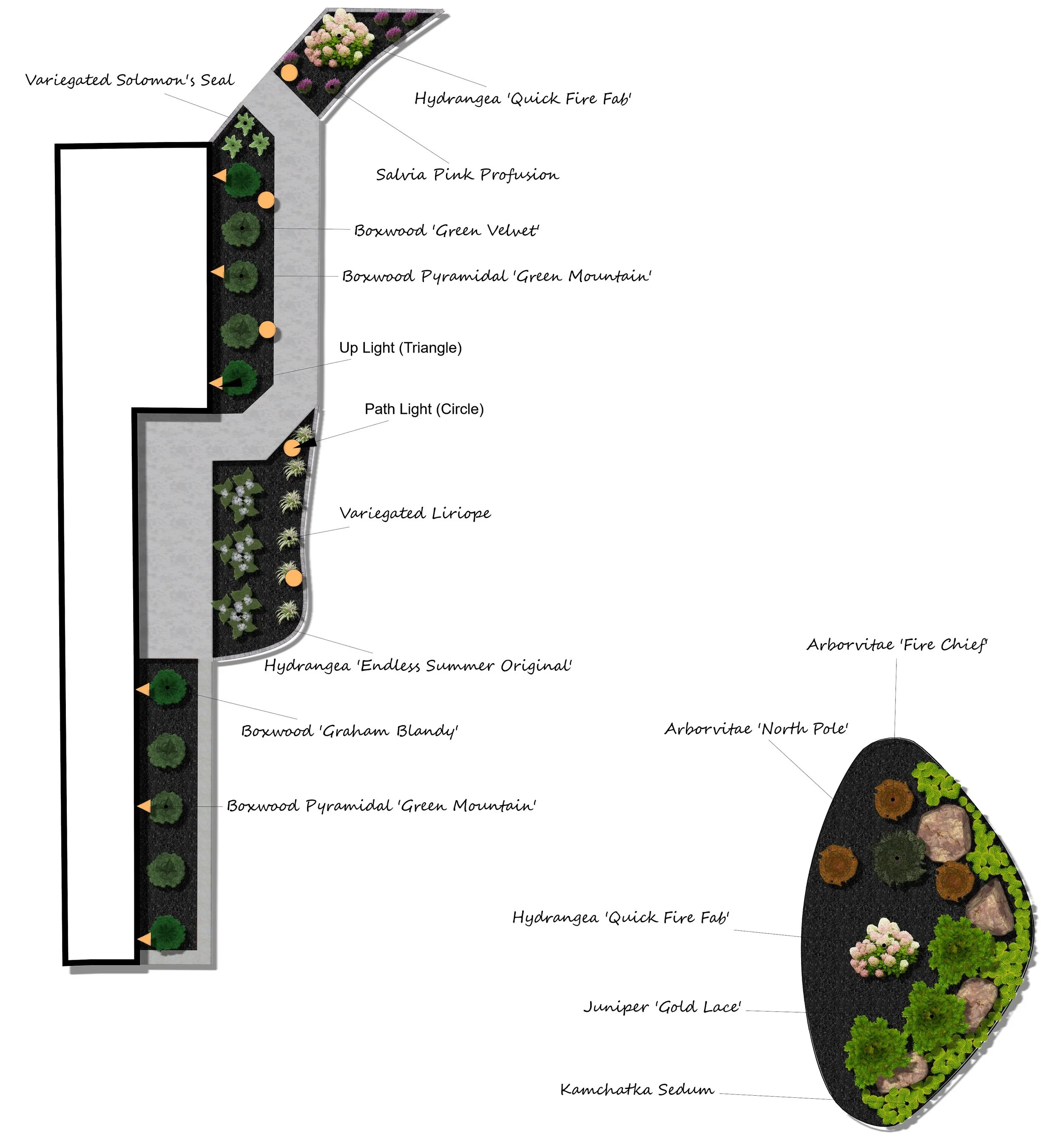 A detailed diagram of a garden bed border featuring various plants and decorative labels, including Hydrangea 'Endless Summer Original', Boxwood 'Graham Blandy', Boxwood Pyramidal 'Green Mountain', Variegated Liriope, Hydrangea 'Quick Fire Fab', Salvia Pink Profusion, and Arborvitae 'Fire Chief'. The diagram shows the layout and placement of each plant around a curved pathway.
