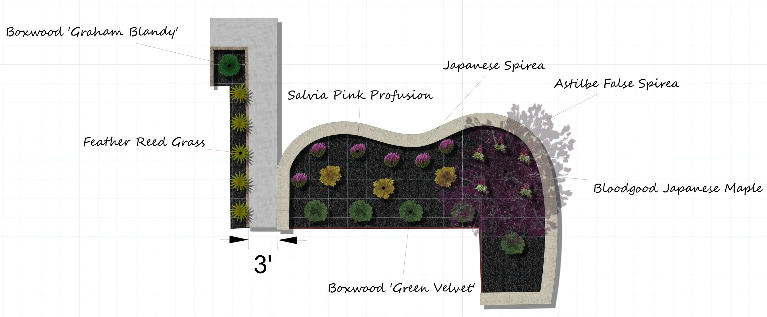 Landscaping plan showing various plants and trees, including Boxwood 'Graham Blandy', Salvia Pink Profusion, Japanese Spirea, Astilbe False Spirea, Feather Red Grass, Bloodgood Japanese Maple, and Boxwood 'Green Velvet'.