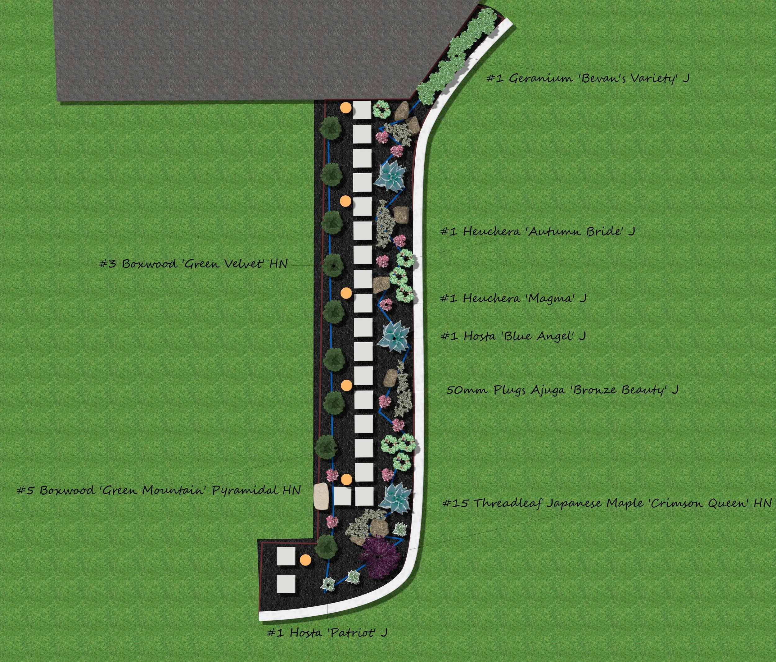 A garden landscape plan with labeled sections for various plants and trees, including Geranium 'Bevan's Variety' J, Heuchera 'Autumn Bride' J, Boxwood 'Green Velvet' HN, Heuchera 'Magma' J, Hostas 'Blue Angel' J, Boxwood 'Green Mountain' Pyramidal HN, Threadleaf Japanese Maple 'Crimson Queen' HN, and 50mm Plugs Ajuga 'Bronze Beauty' J, arranged along a curved path with surrounding grassy lawn.