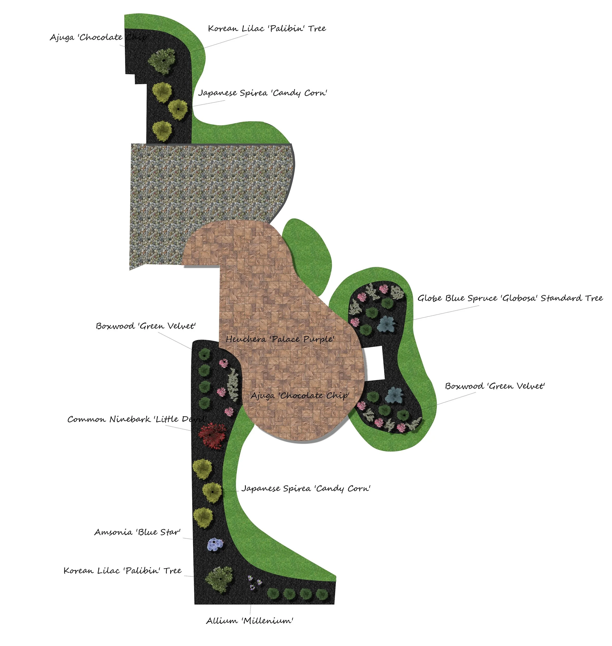 A detailed garden landscape plan featuring themed sections with various plants, trees, and ground covers, including labeled areas such as Korean Lilac 'Palibin' Tree, Japanese Spirea 'Candy Corn', Boxwood 'Green Velvet', Heuchera 'Palace Purple', Amsonia 'Blue Star', Common Ninebark 'Little Devil', Ajuga 'Chocolate Chip', Globe Blue Spruce 'Globosa' Standard Tree, and Allium 'Millennium'.