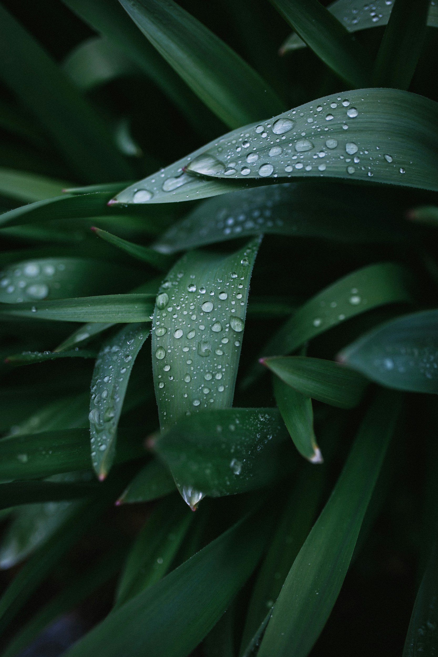 Summer Rain Yoga Experience