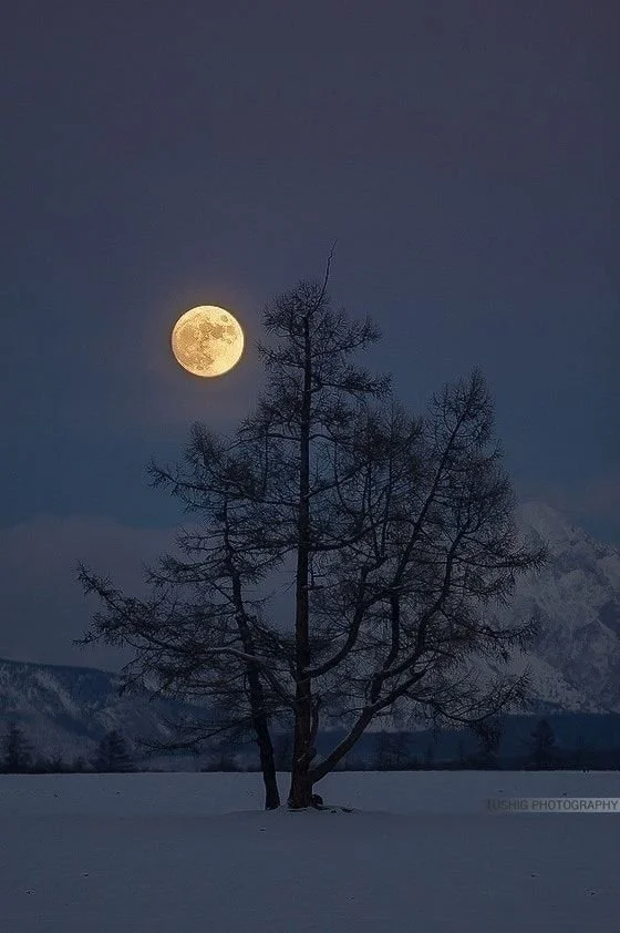 February Full Moon Yoga: Mikisiwi‑pîsim, the “Eagle Moon”