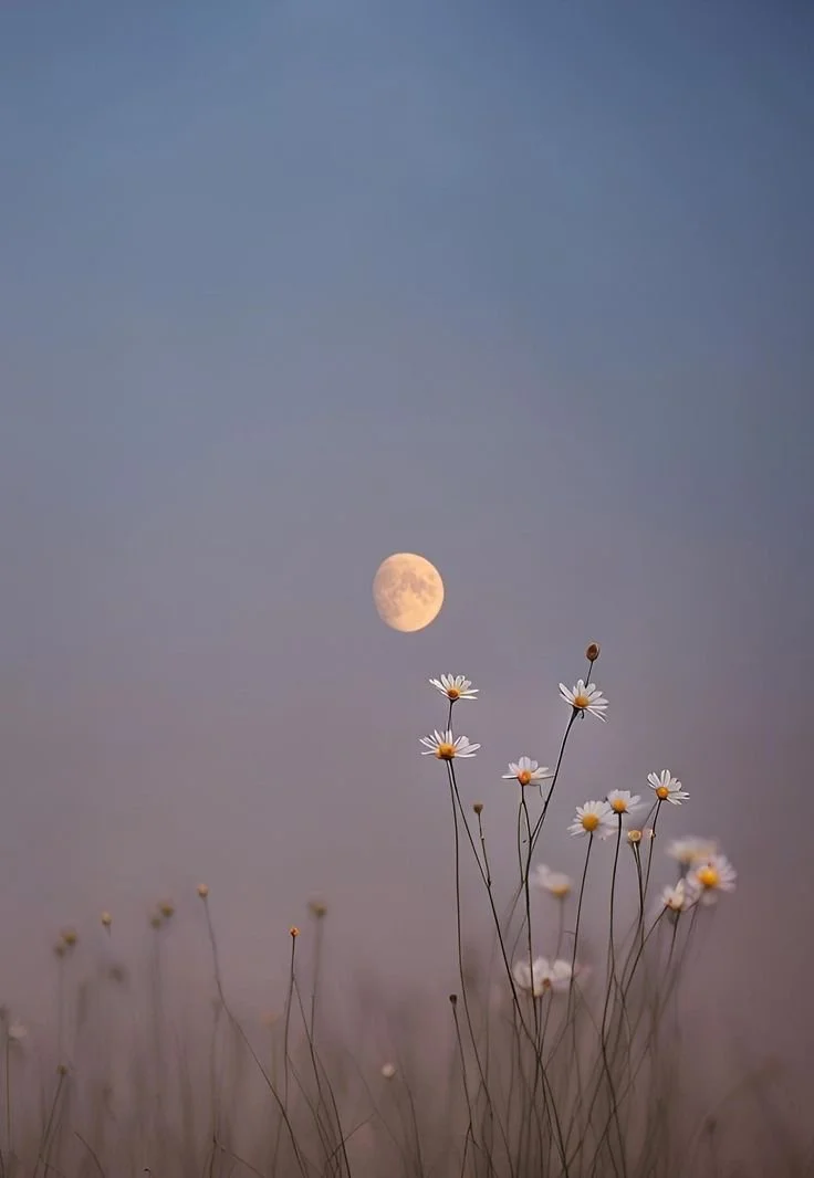 May Full Moon Yoga: Flower Moon