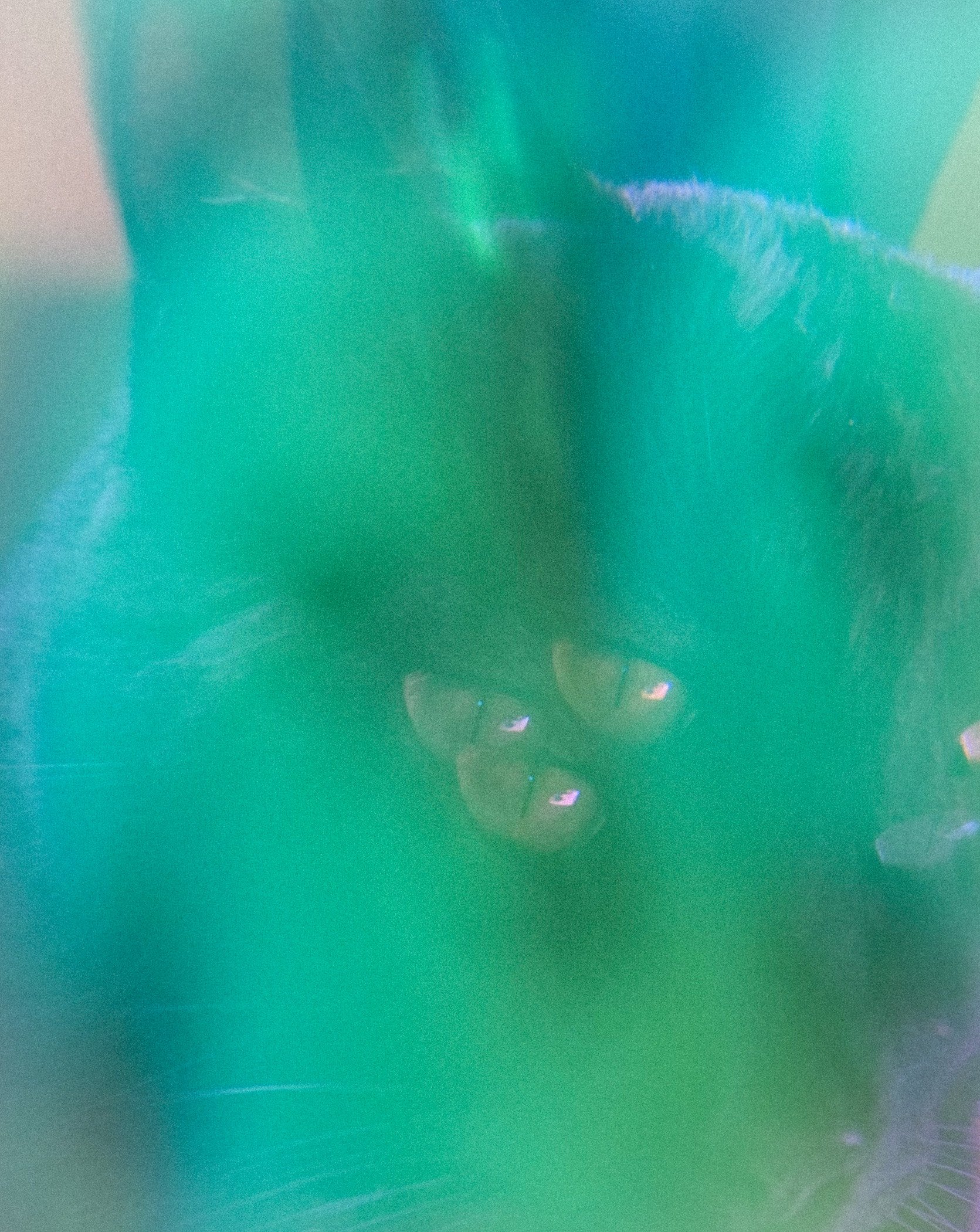 lunas third eye.jpeg