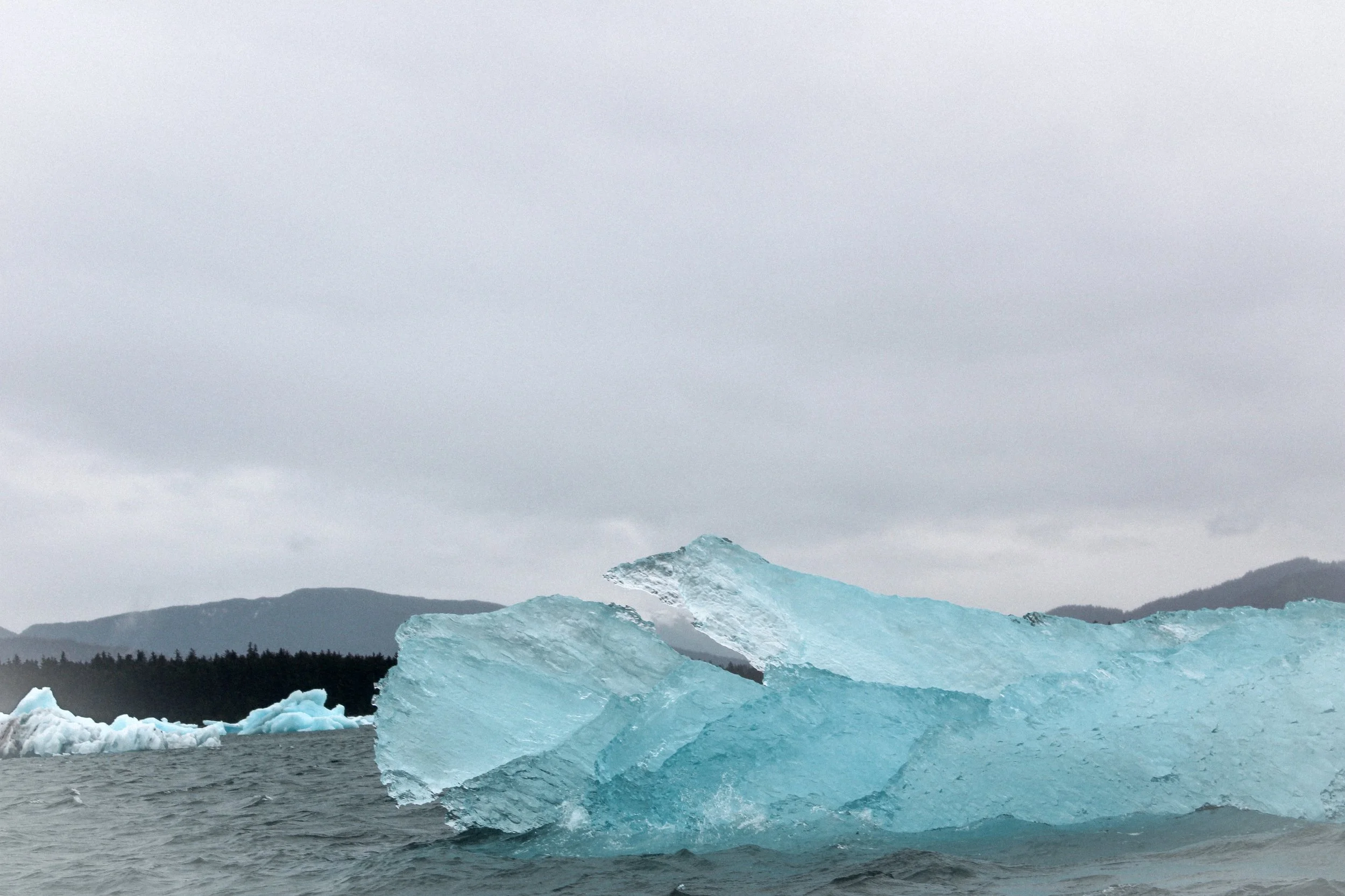 the ice floats by.jpeg