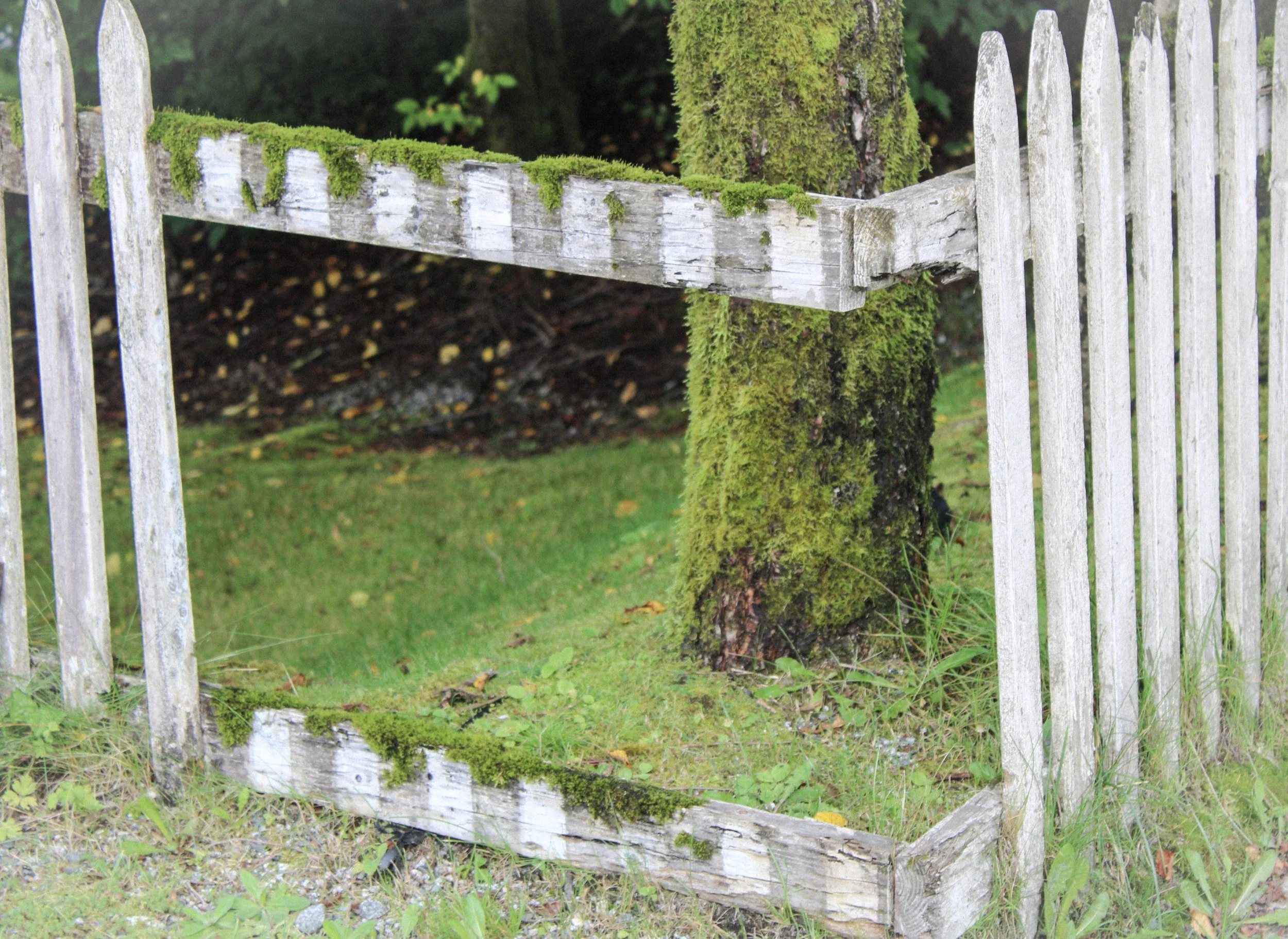 its how the light gets in.jpeg