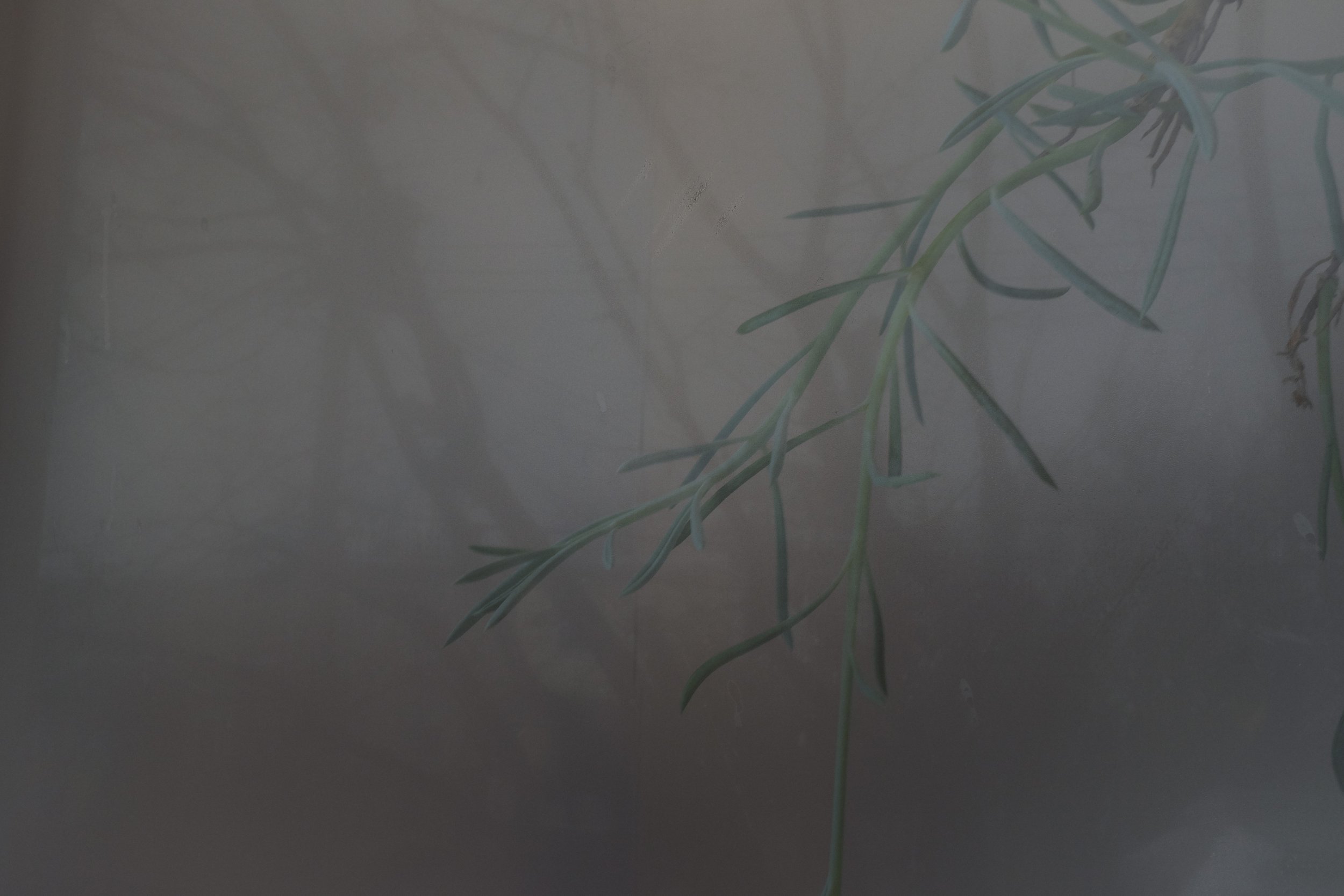 i see you and me.jpeg