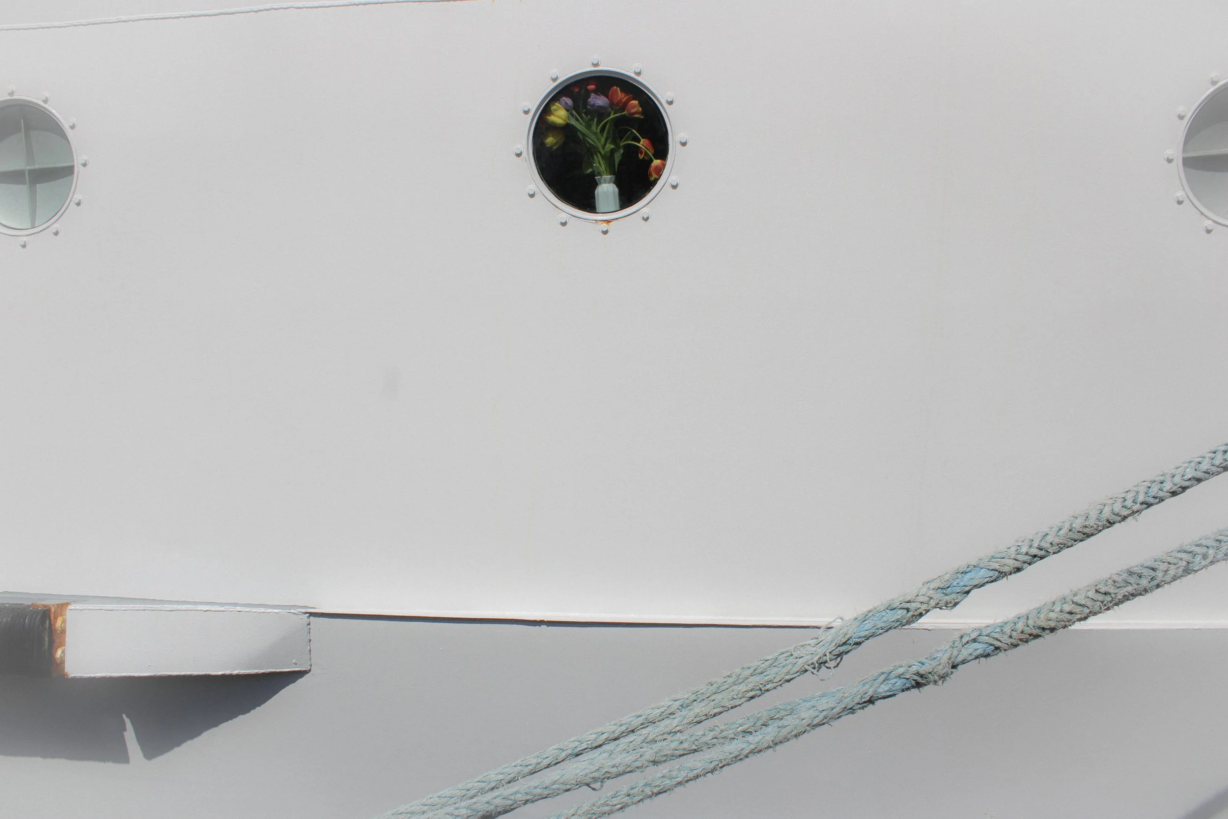 flowers in the boat window.jpeg