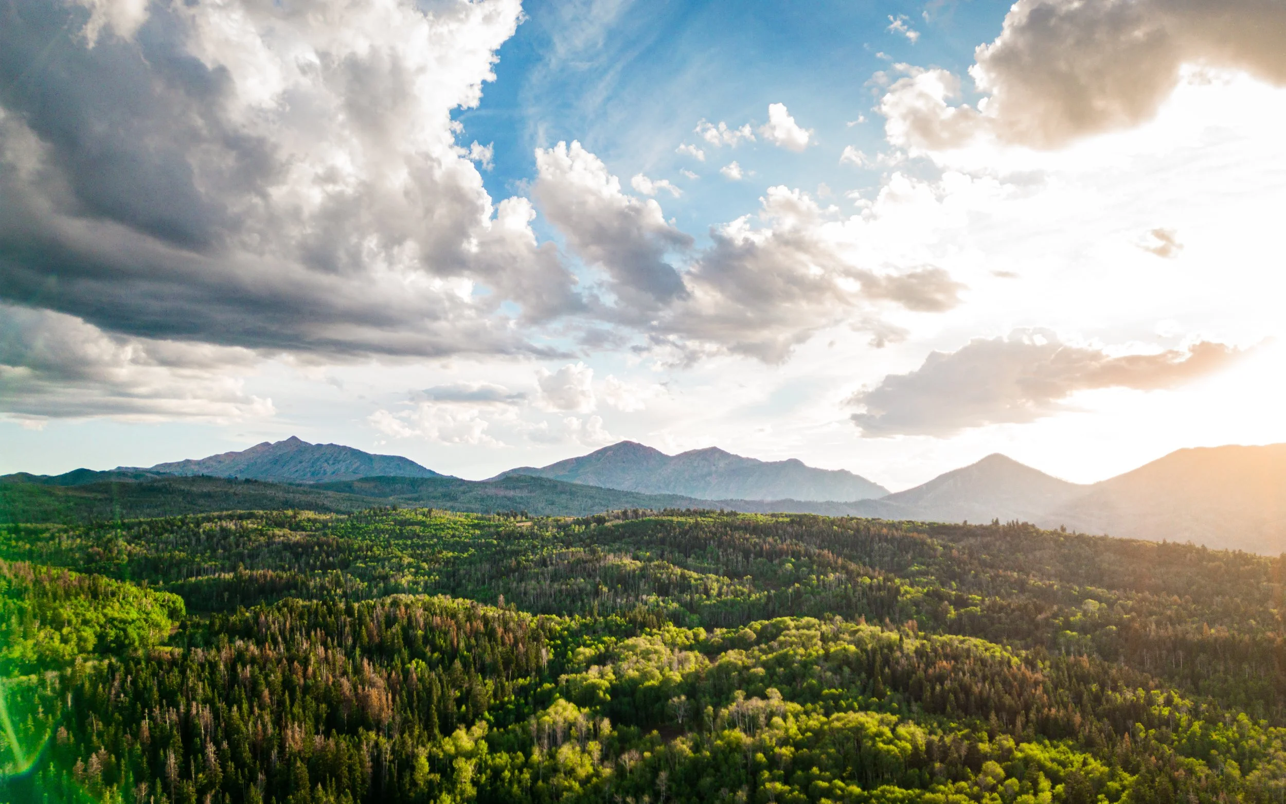 DK2208-08 102-Enhanced (32x20).JPG