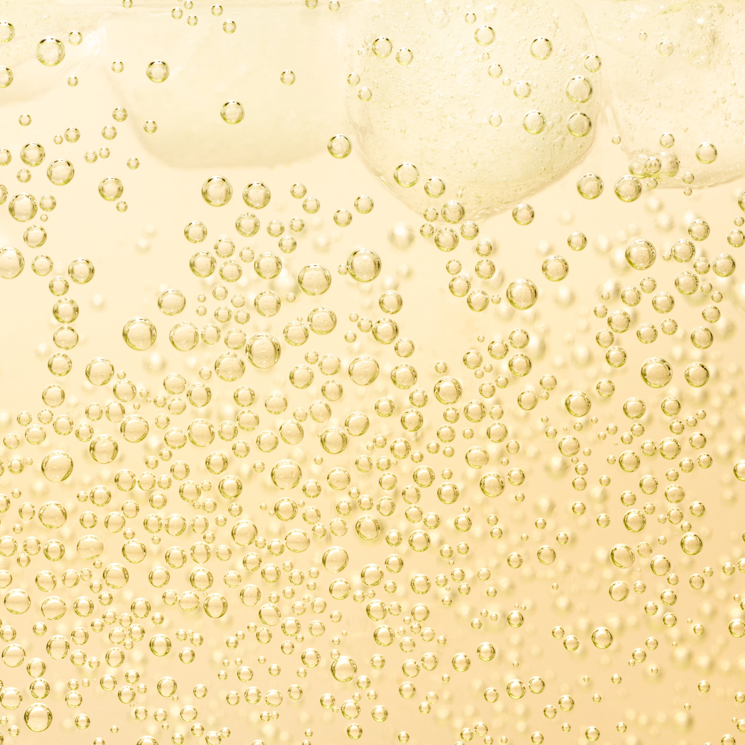 MangoTango_Macro.JPG