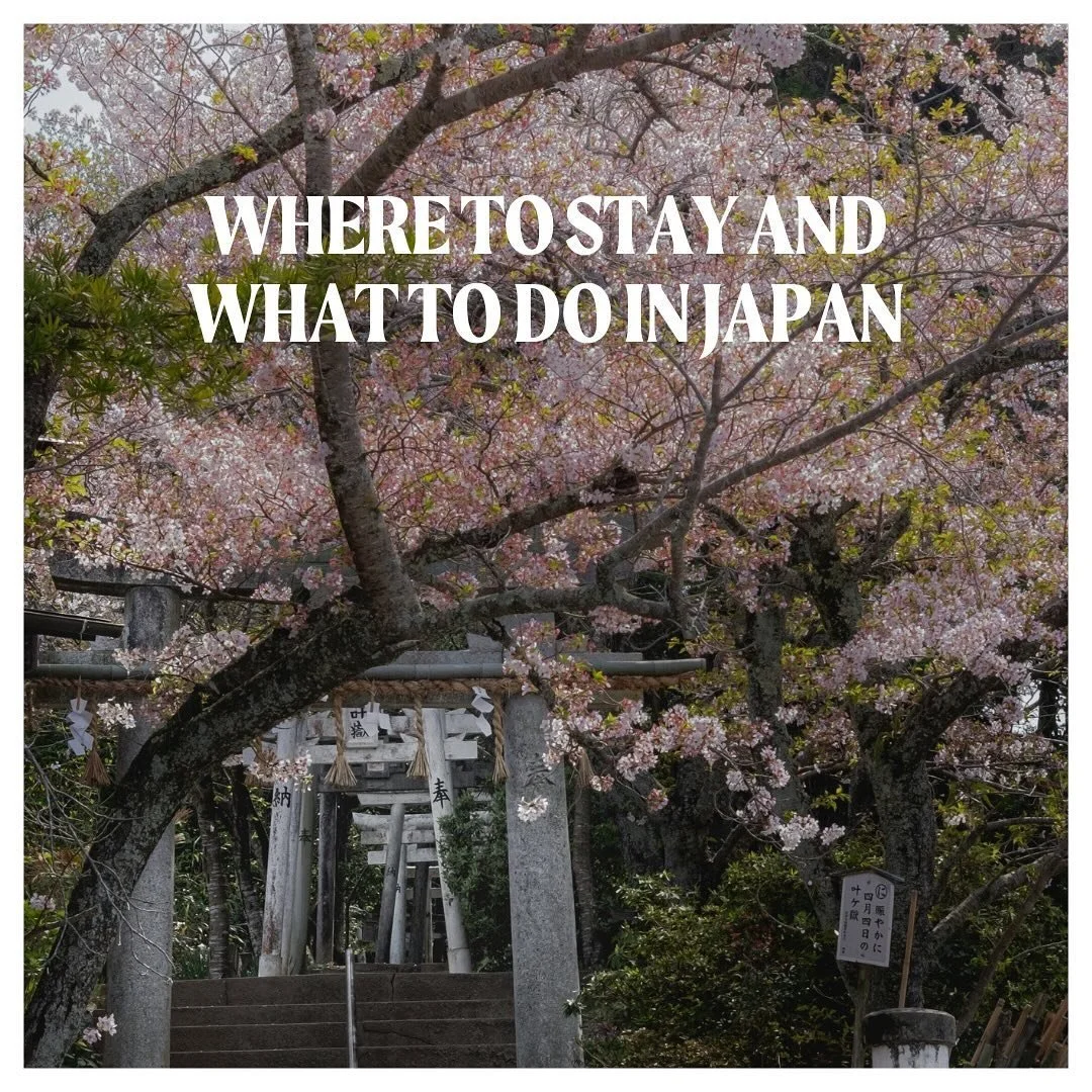 Luxury and adventure await for you in Japan! 

Let&rsquo;s connect and travel the world!
.
.
.
.
#ExploreJapan #VisitJapan #JapanAdventures #LuxuryTravelJapan #DiscoverJapan #BucketListDestinations #CulturalGetaway #TravelWithTaste #consommetravel #a