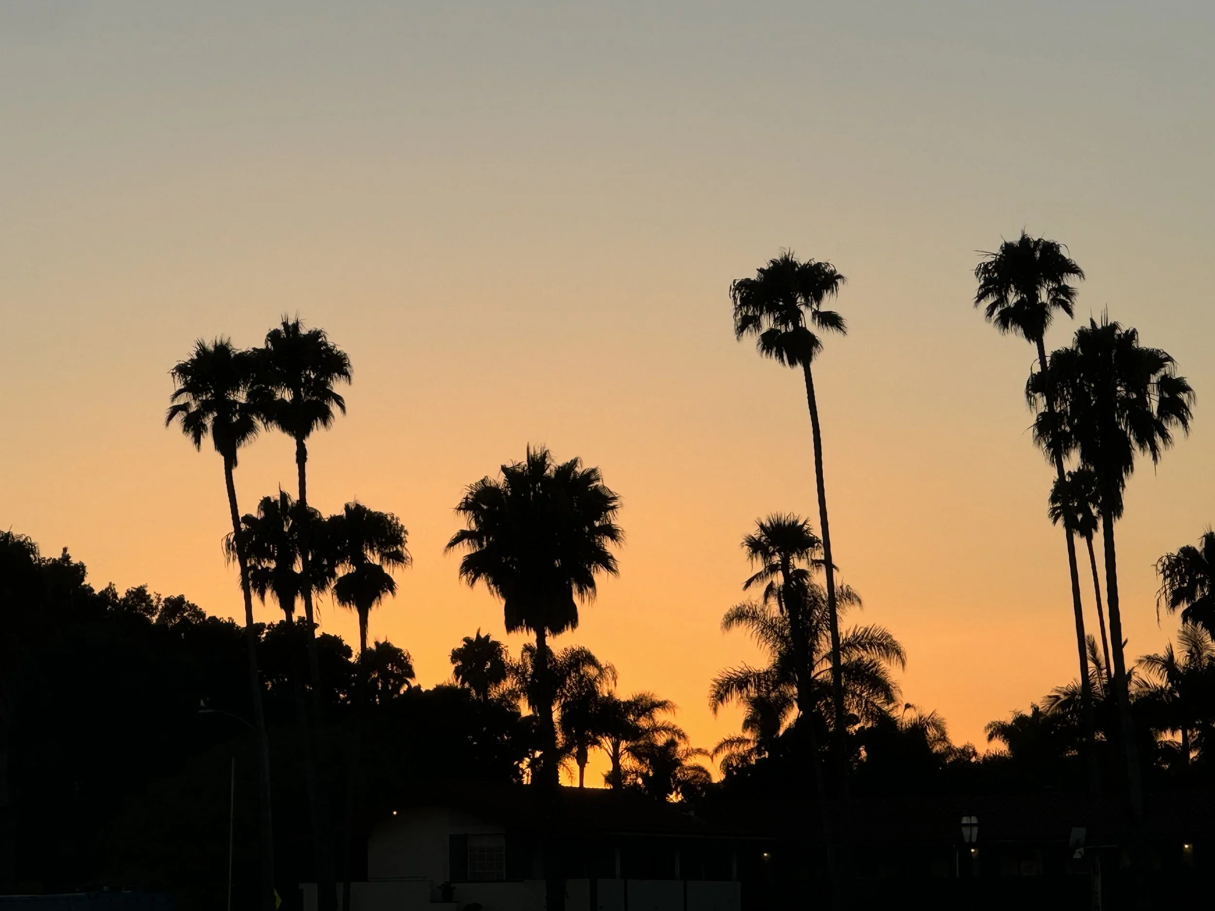 Best Restaurants in               Santa Barbara Right Now