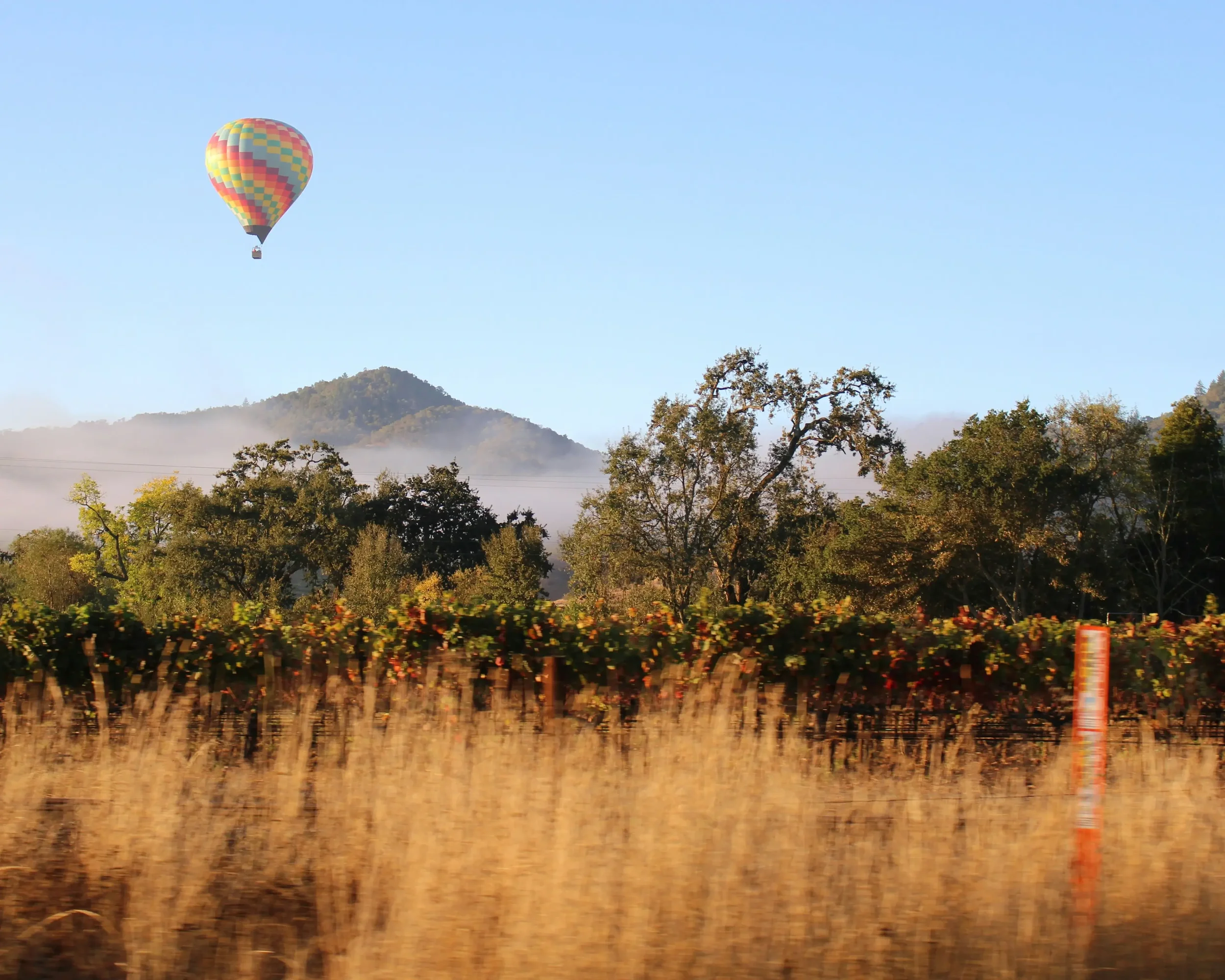 Napa Valley -                             A Sommelier’s Guide