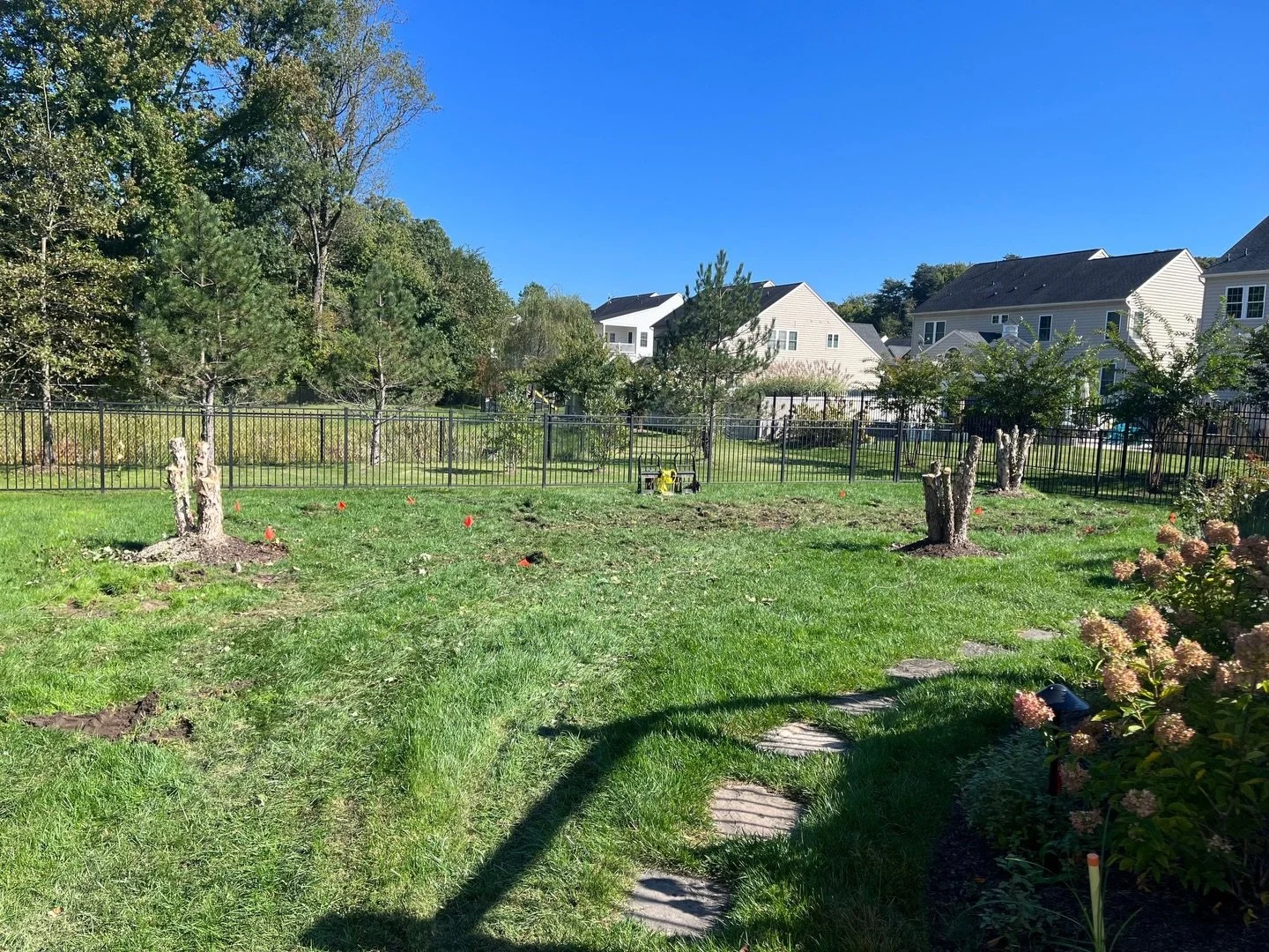 Friendly reminder that every yard has potential waiting to be unlocked. Don&rsquo;t wait!! Contact @elysiumpools to turn your dreams into reality!!

#customepools #luxurypools #backyardtransformation #poolinspo #backyardliving #luxury #pools #pardise