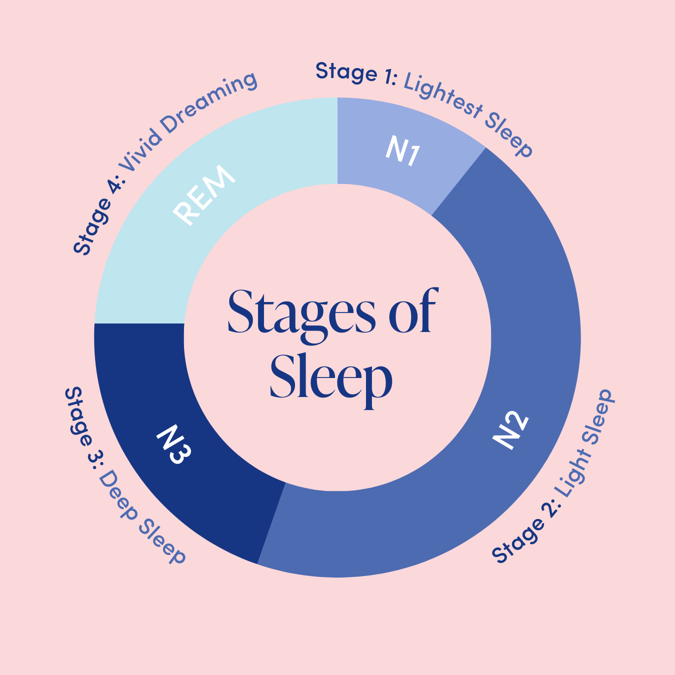 Sleep stages.png