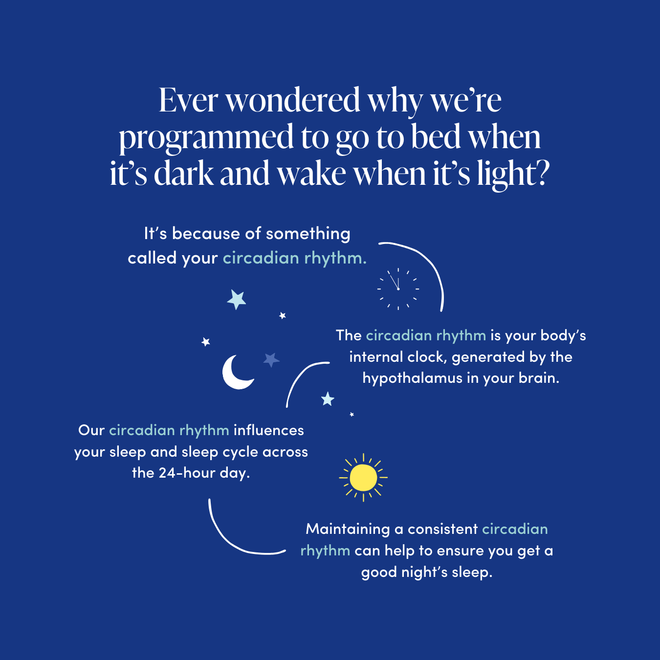 Sleep stages (2).png