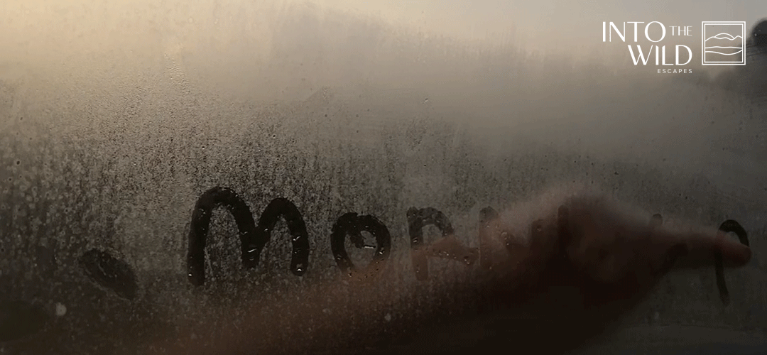 intothewild.gif