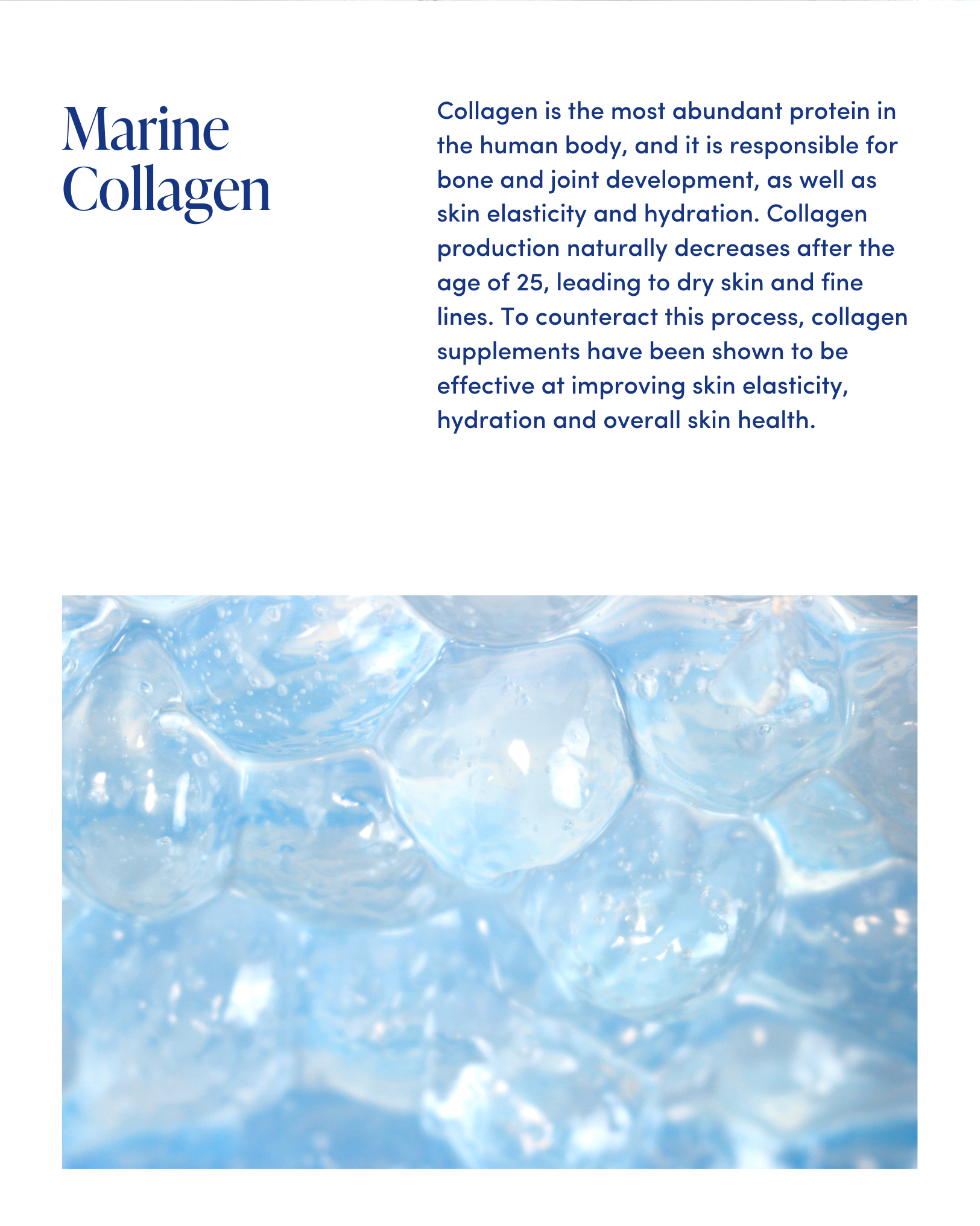 Ingredient Spotlight_ Marine Collagen (2).png