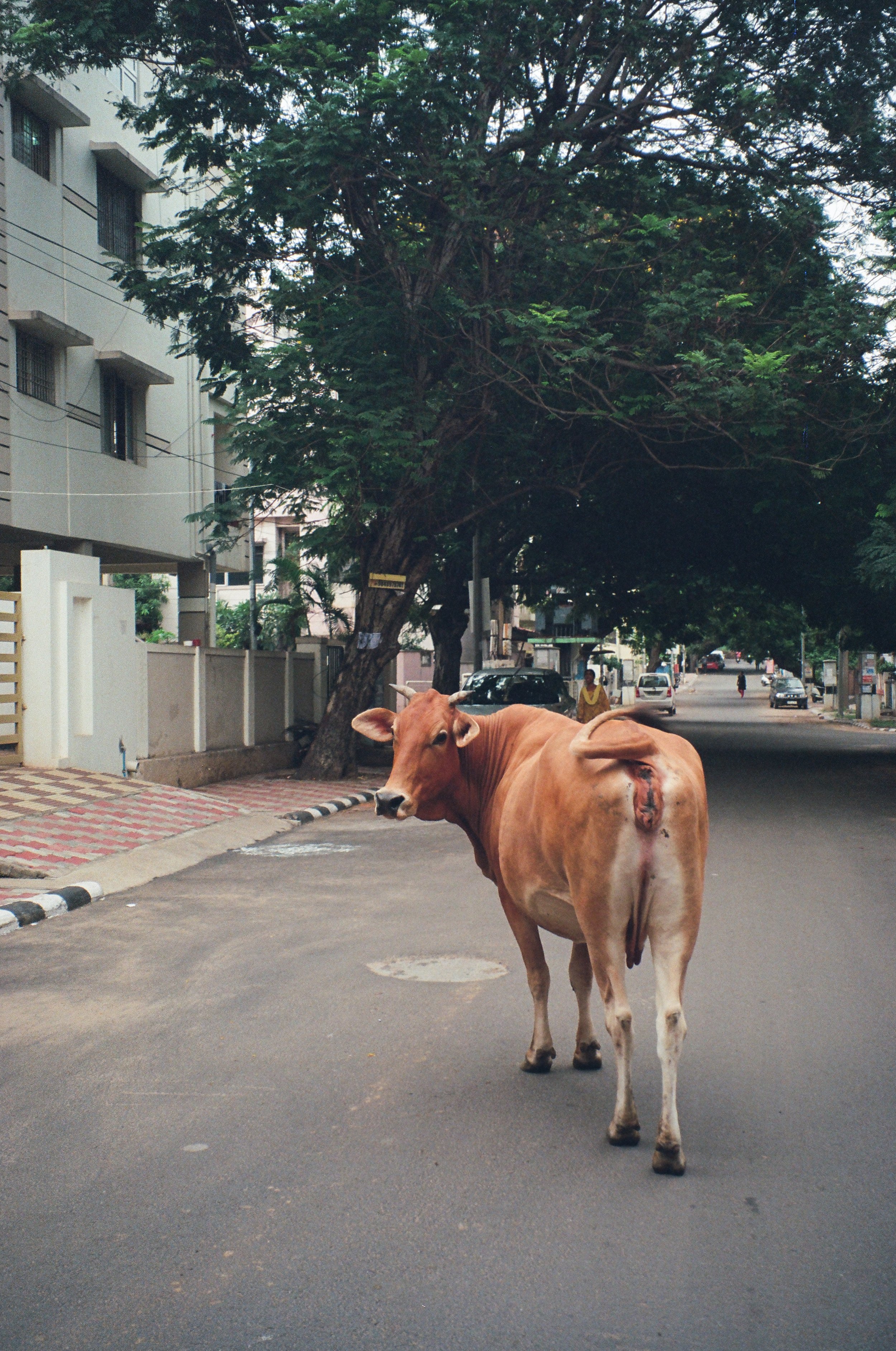 Vizag, India, 2023