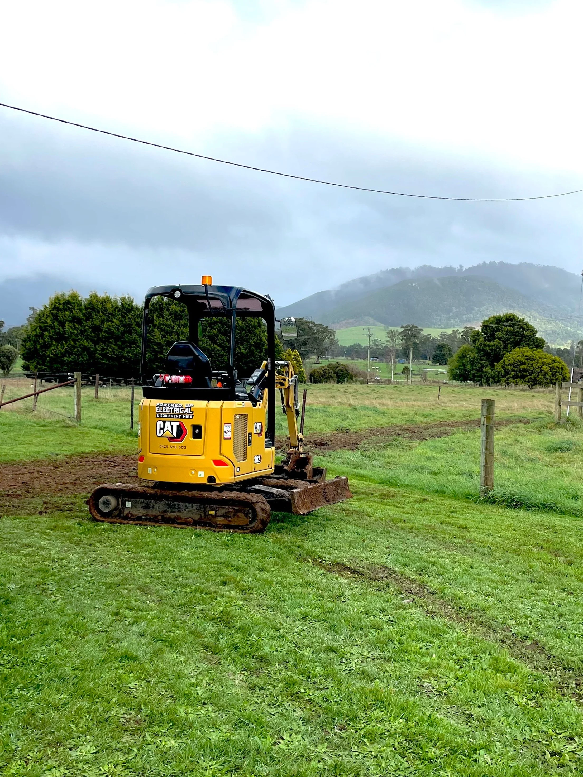 Cat digger in a paddock