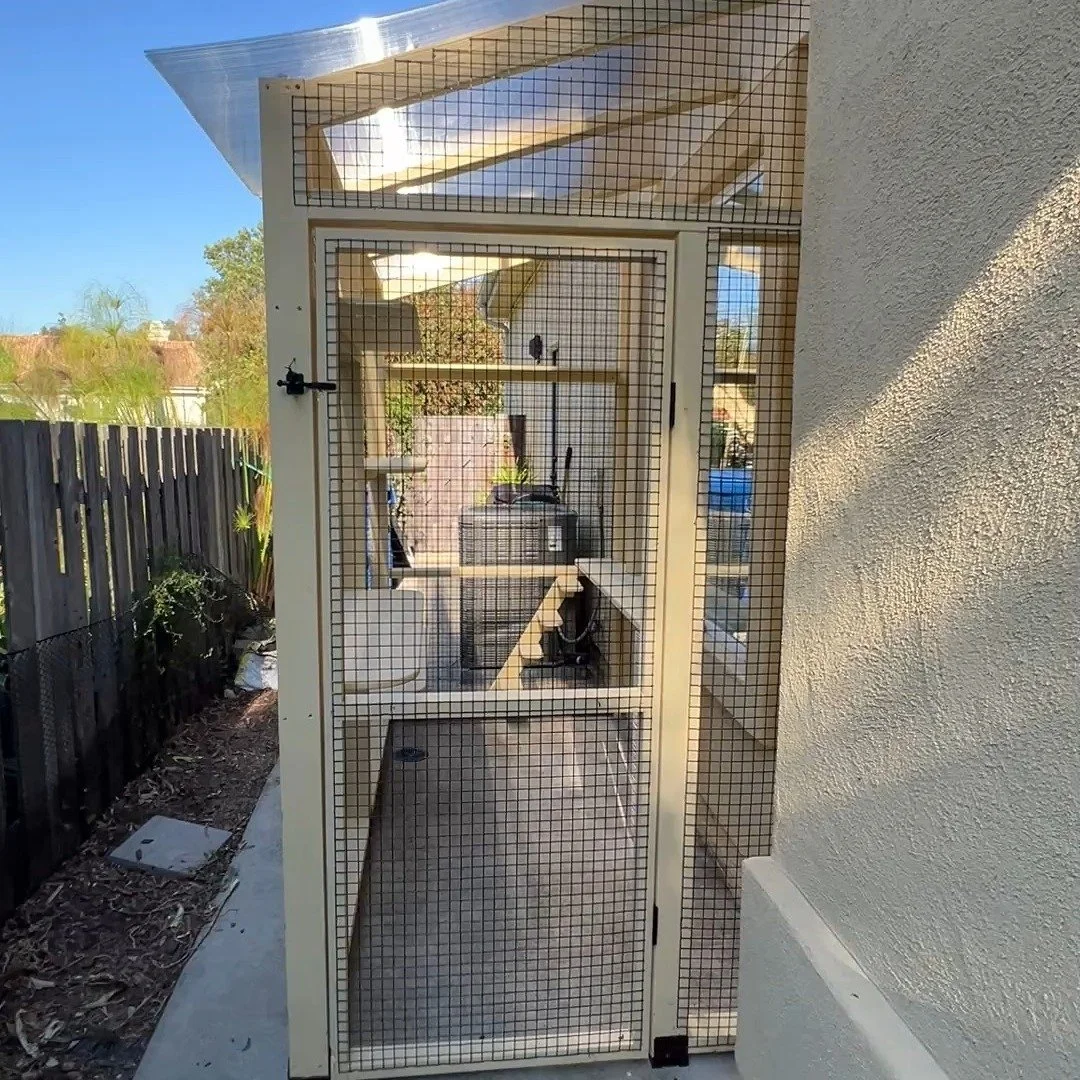 This narrow concrete side yard was doing nothing&mdash;until Benny and the Jet moved in. With a footprint barely bigger than a sheet of 8x4 plywood, this custom catio now transforms the space into a safe, enriching outdoor zone for two curious kitten