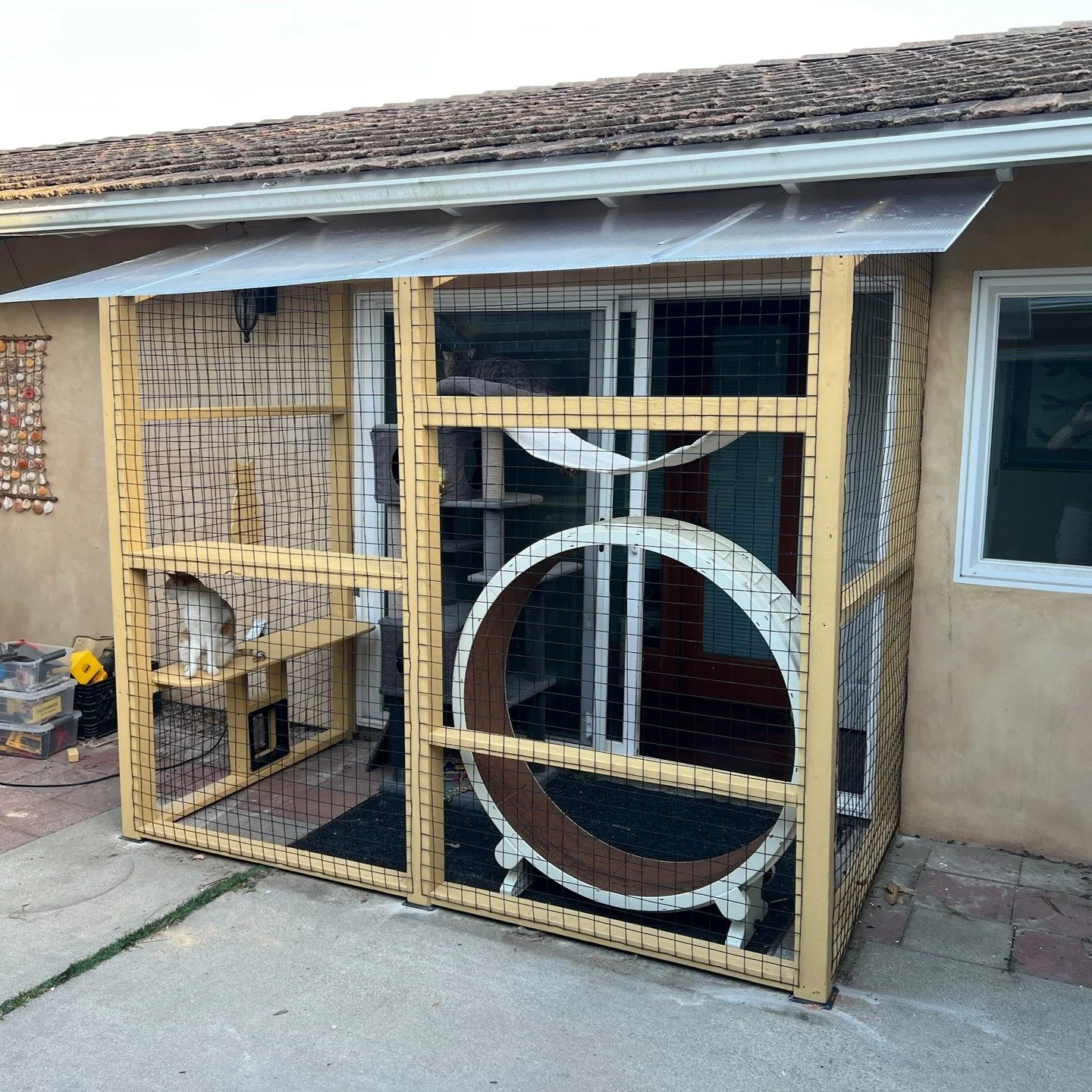 From Basic to Boujee: Catio Glow-Up! 🛠️🐾

Swipe to see the before ➡️ and be amazed by the after! 🐱✨

Our feline friends just got the ultimate upgrade&mdash;from a humble chicken wire enclosure to a spacious, fully-custom catio fit for royalty. 👑?