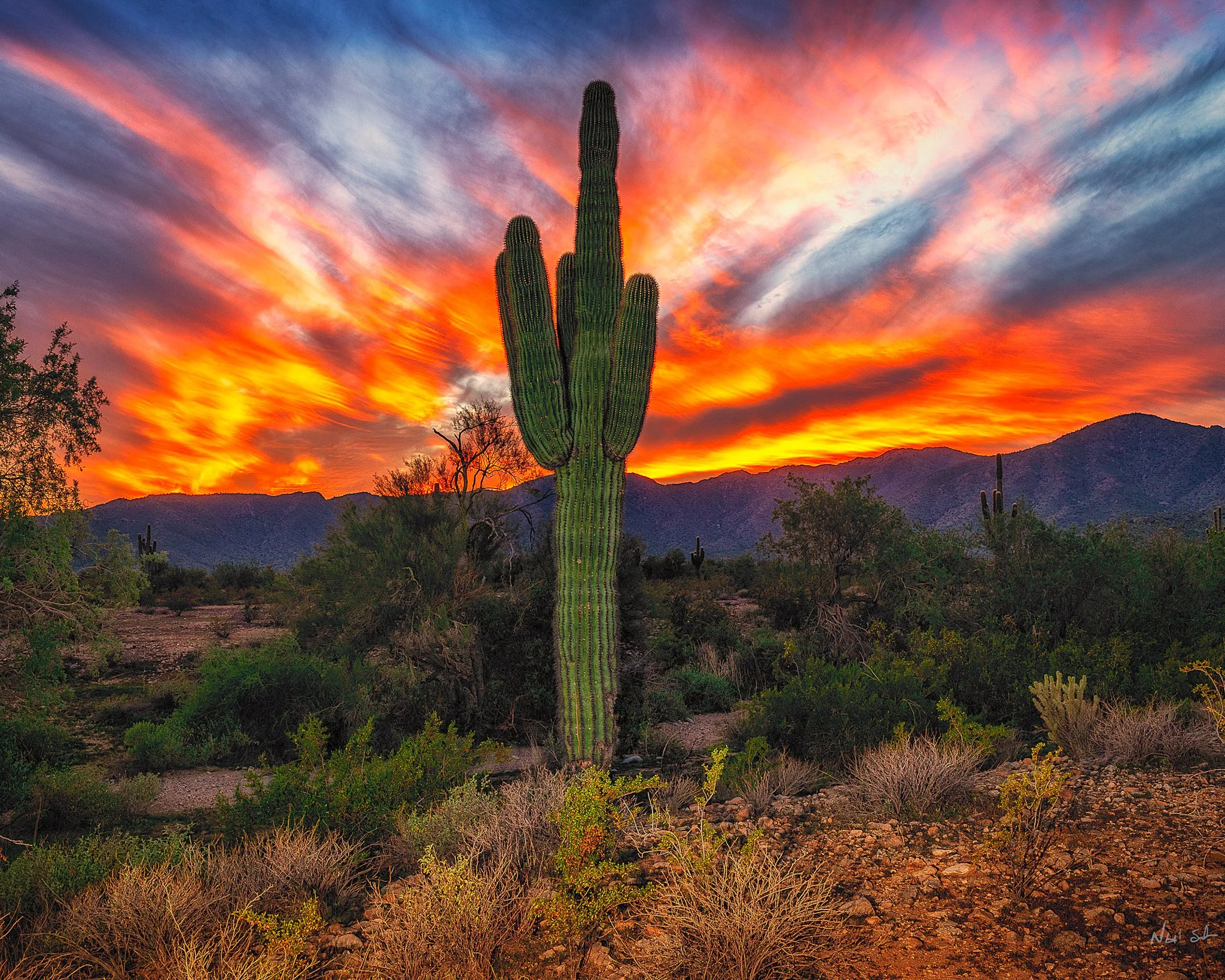 From Foam Cameras to Fiery Skies – My Journey in Photography