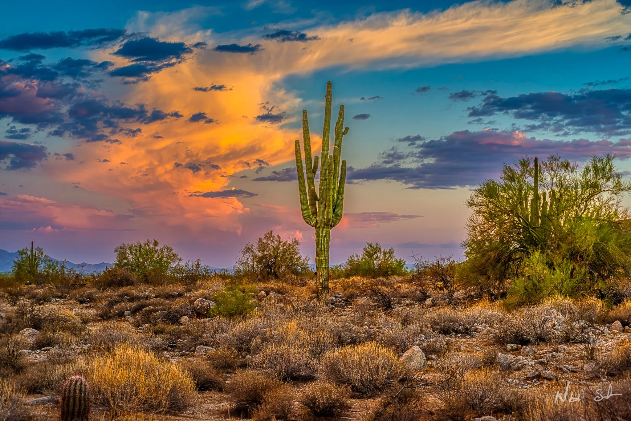It’s Science, Y’all: Why Arizona Sunsets Explode With Color