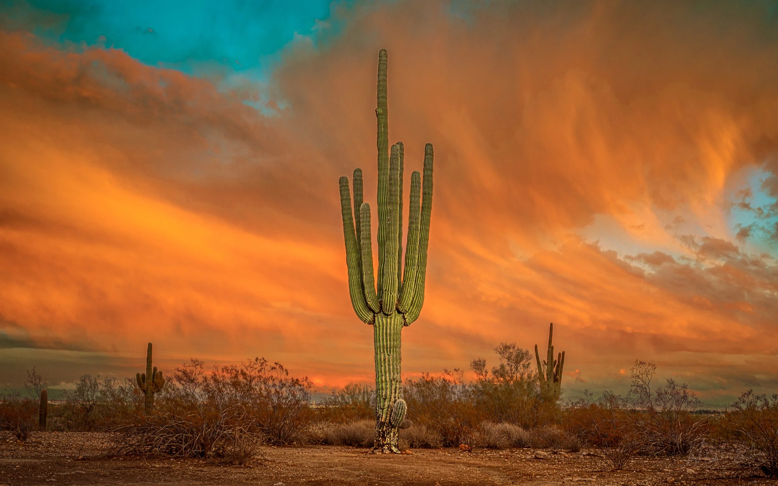 Vibrant Arizona sunset with glowing orange sky behind a tall saguaro cactus in the Sonoran Desert.