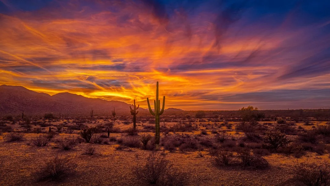 Wide desert landscape with fiery orange sunset sky and saguaros scattered across the horizon.