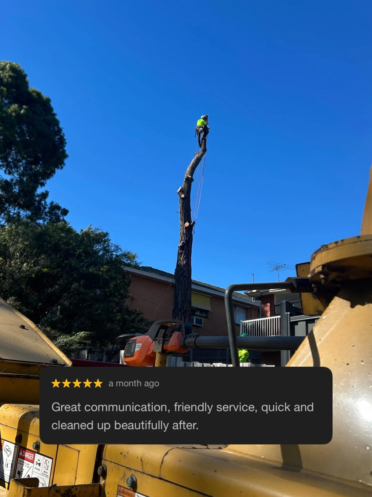 ⭐️⭐️⭐️⭐️⭐️ #arborist #treecare #treework #stihl