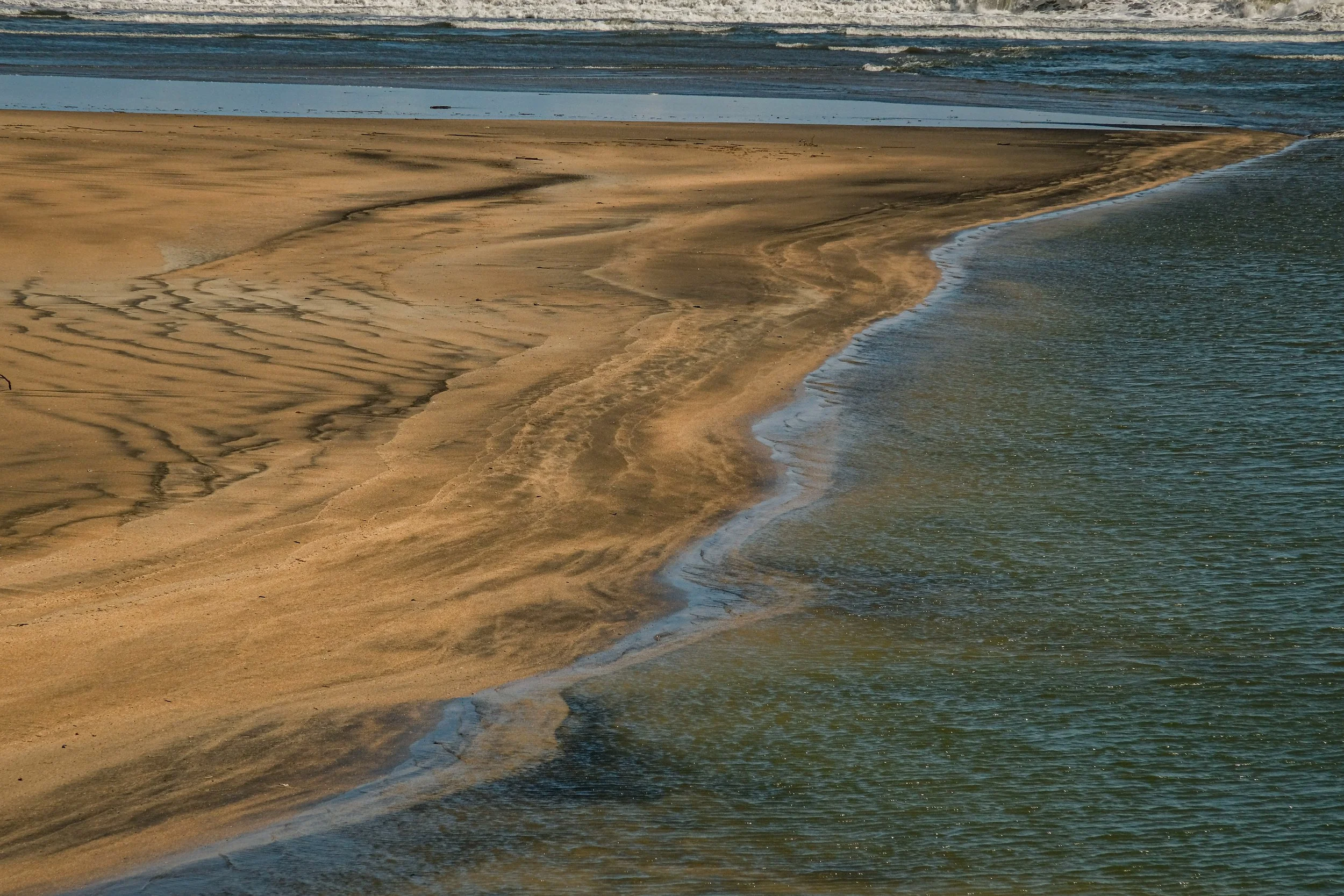 DSCF4916.jpg