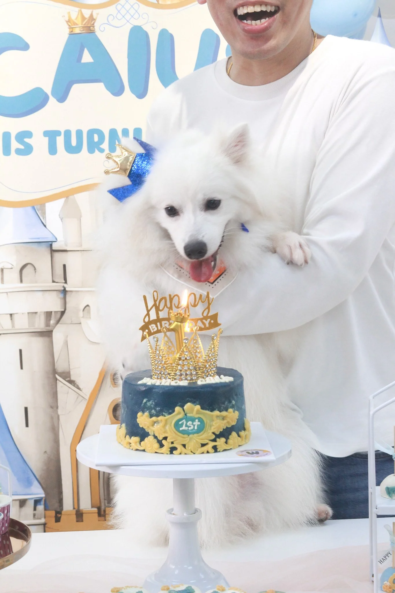 Person holding a white dog with a blue bow and a birthday crown, celebrating a first birthday with a decorated cake in front of a castle-themed backdrop.