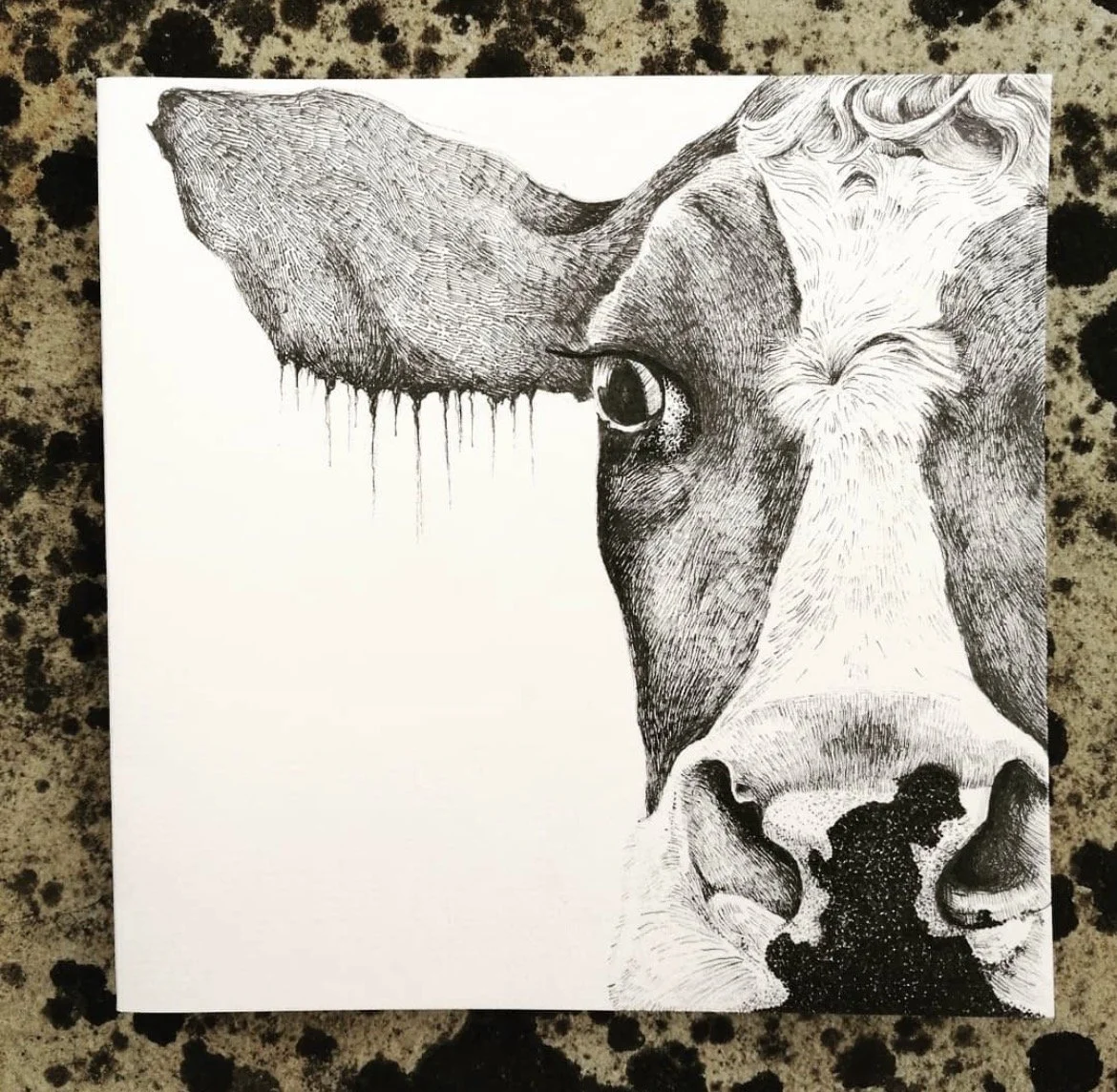 Cow #2