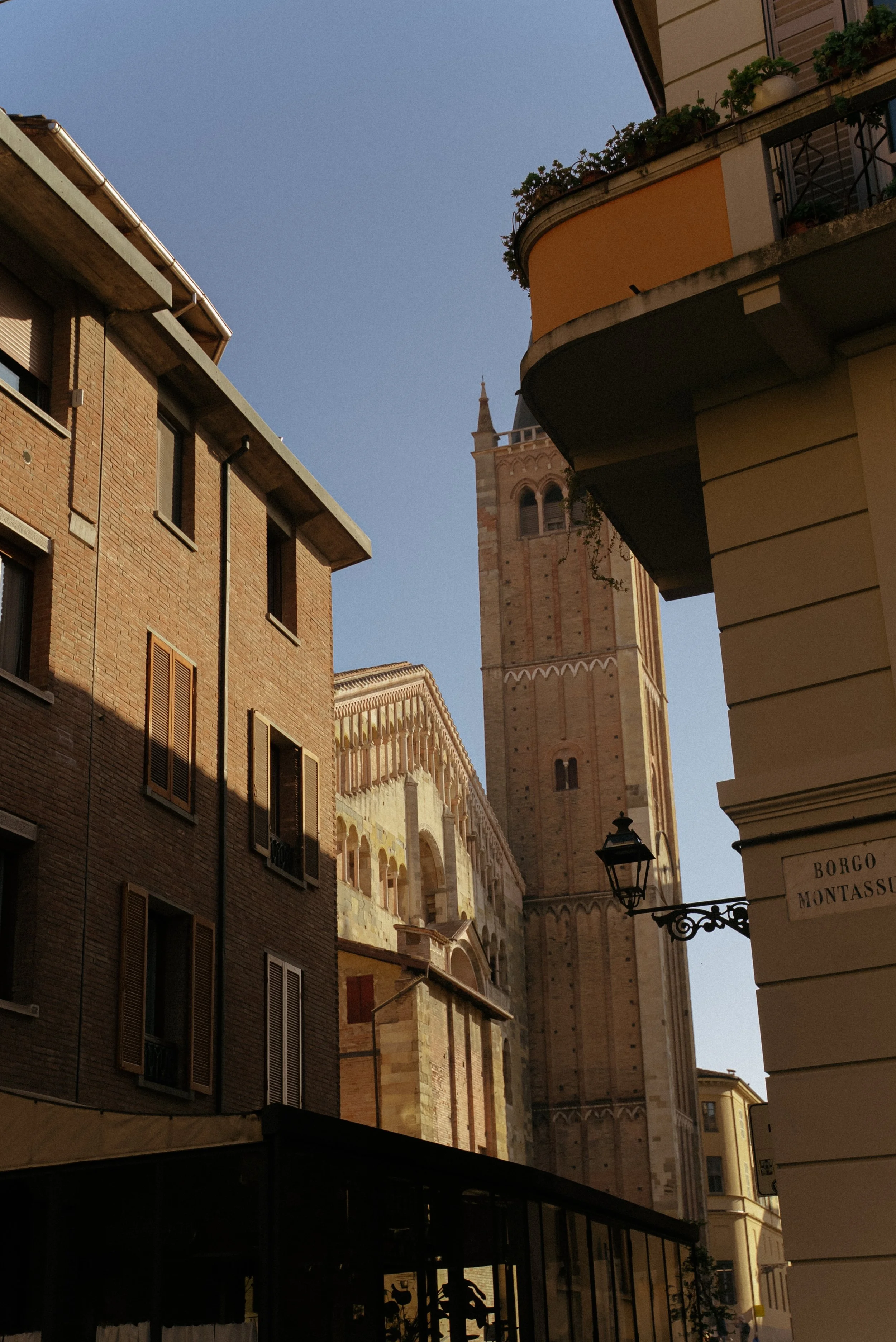 LS306375.jpg