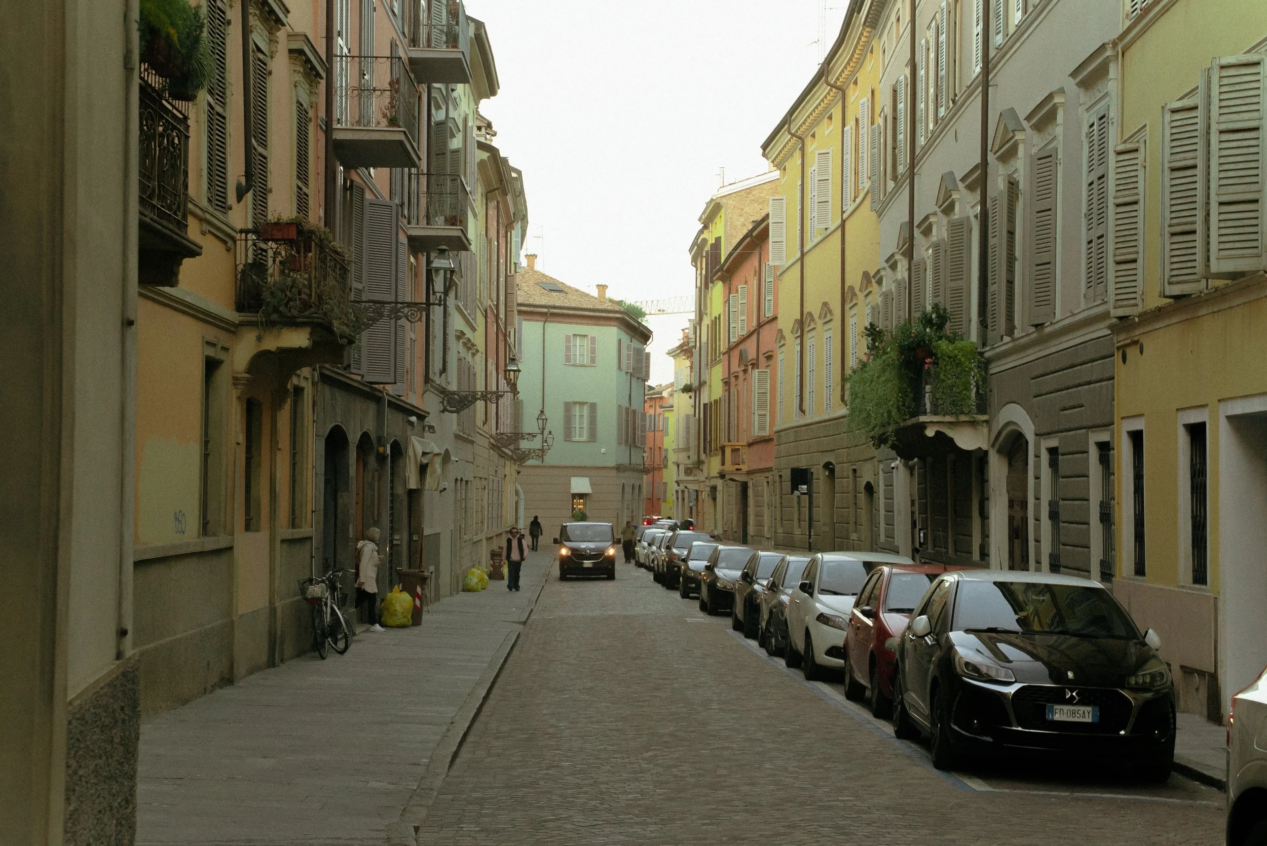LS309117.jpg